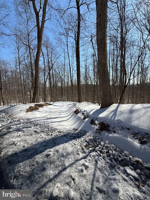 Beautiful 9+ Acre Mountain Lot located near Myersville and Boonsboro. Wooded and private location with good county road access and close to commuter routes. Searching for verification of older 4 bedroom perc test. Driveway cut in. Close to Appalachian Trail, Greenbrier State Park and Lake and 4 major golf courses.  Please disregard no trespassing sign if showing to your perspective buyer. Tax maps are not accurate - there is a small piece on the upper left side of the road as well as the largest piece to the lower right of the road. Please call listing or co-listing agent for information. Sign on property.