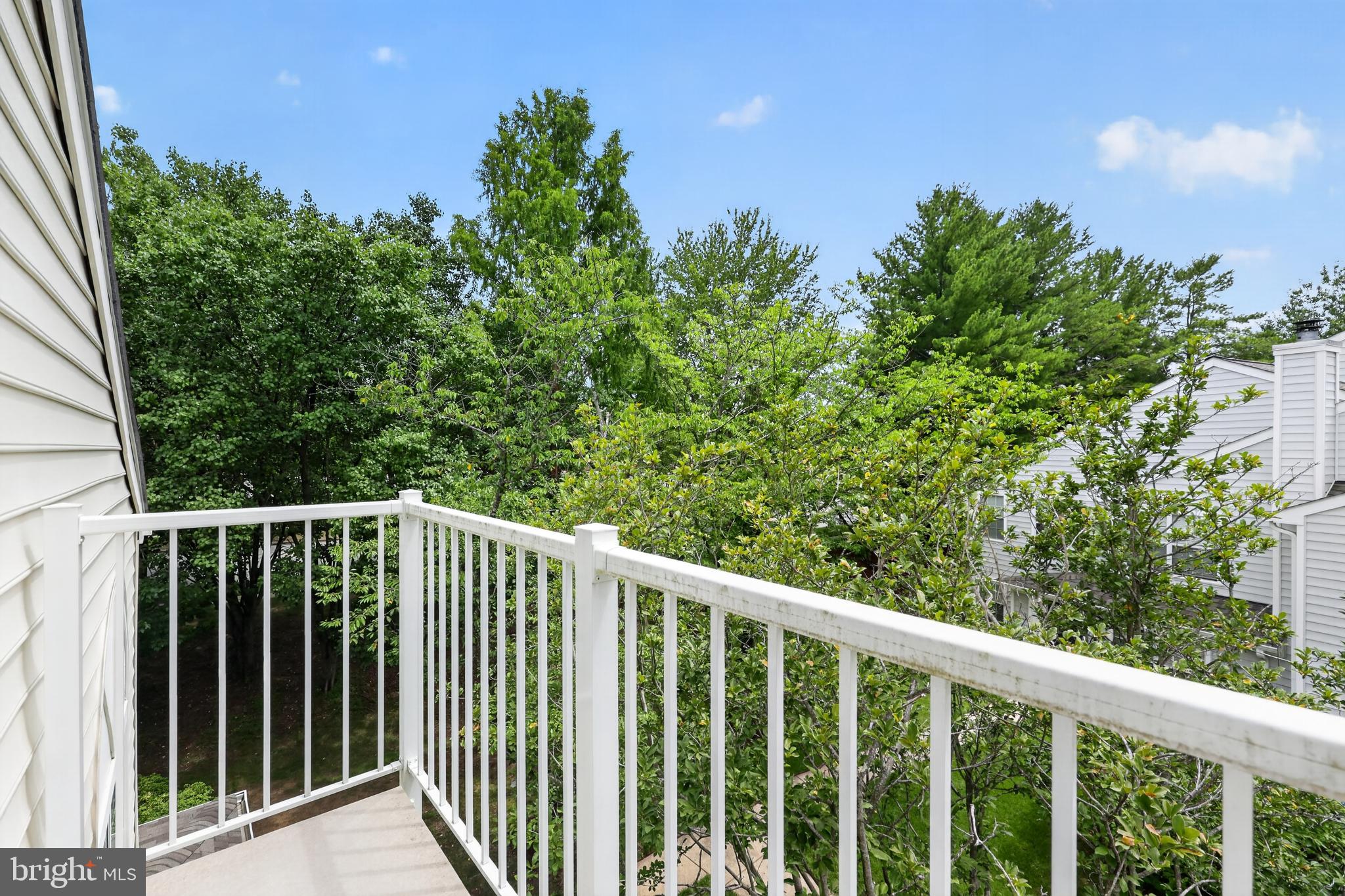 VILL AT MANCHESTER FARMS - Residential