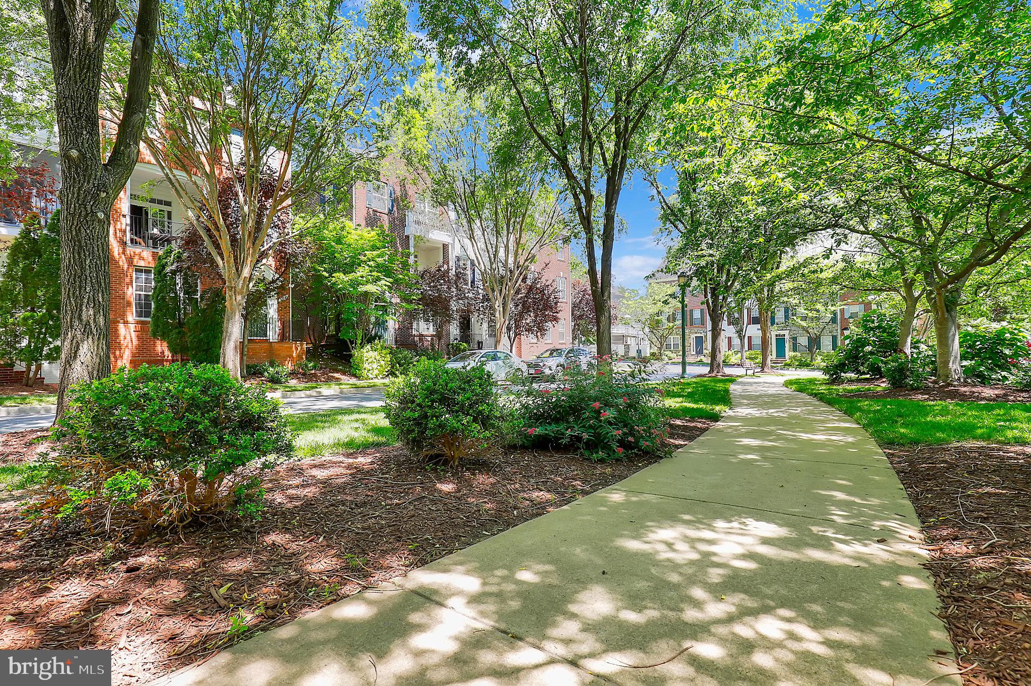 KING FARM BAILEYS COMMON - Residential