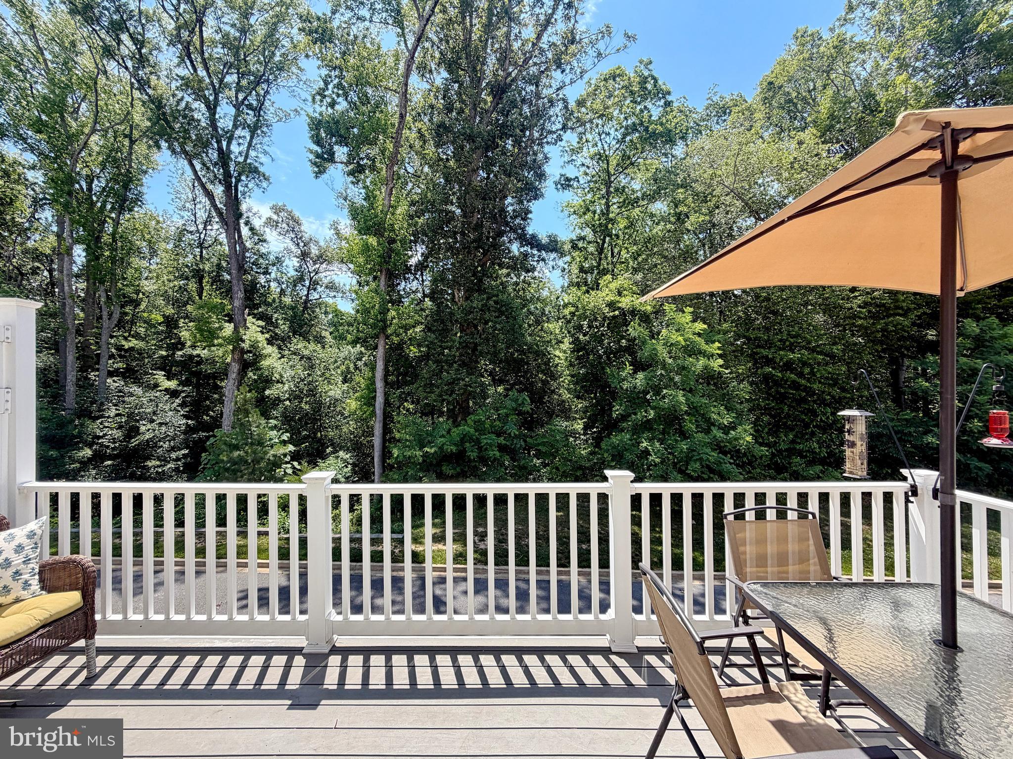 THE VILLAGES OF STEEPLECHASE - Residential