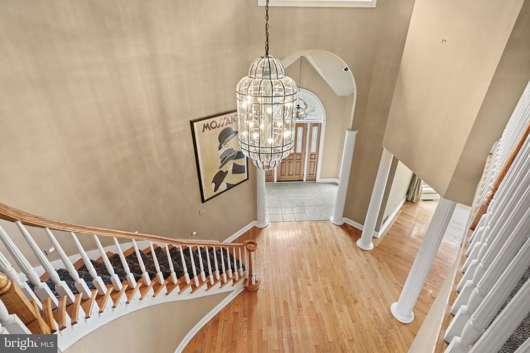 FOREST HILLS - Residential