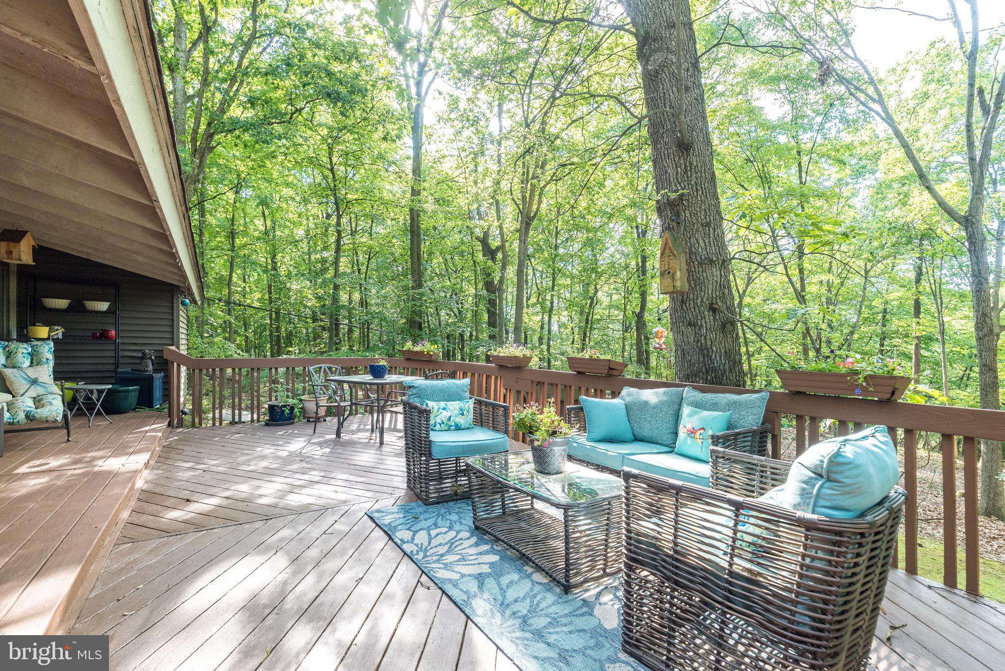 VALLEY FORGE MTN - Residential