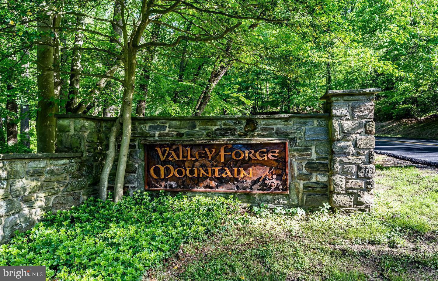 VALLEY FORGE MTN - Residential
