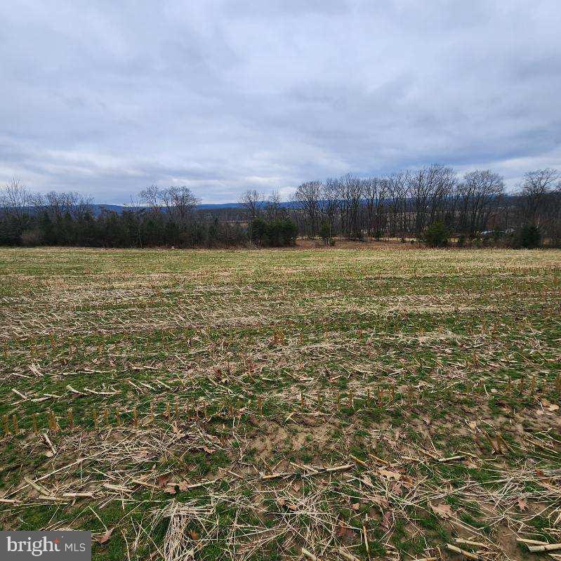 Slightly sloping 14.79 acre lot with a nice stream and great views of Irish Valley. 8 +/- tillable acres and some wooded area as well. Good hunting. Possible home site.