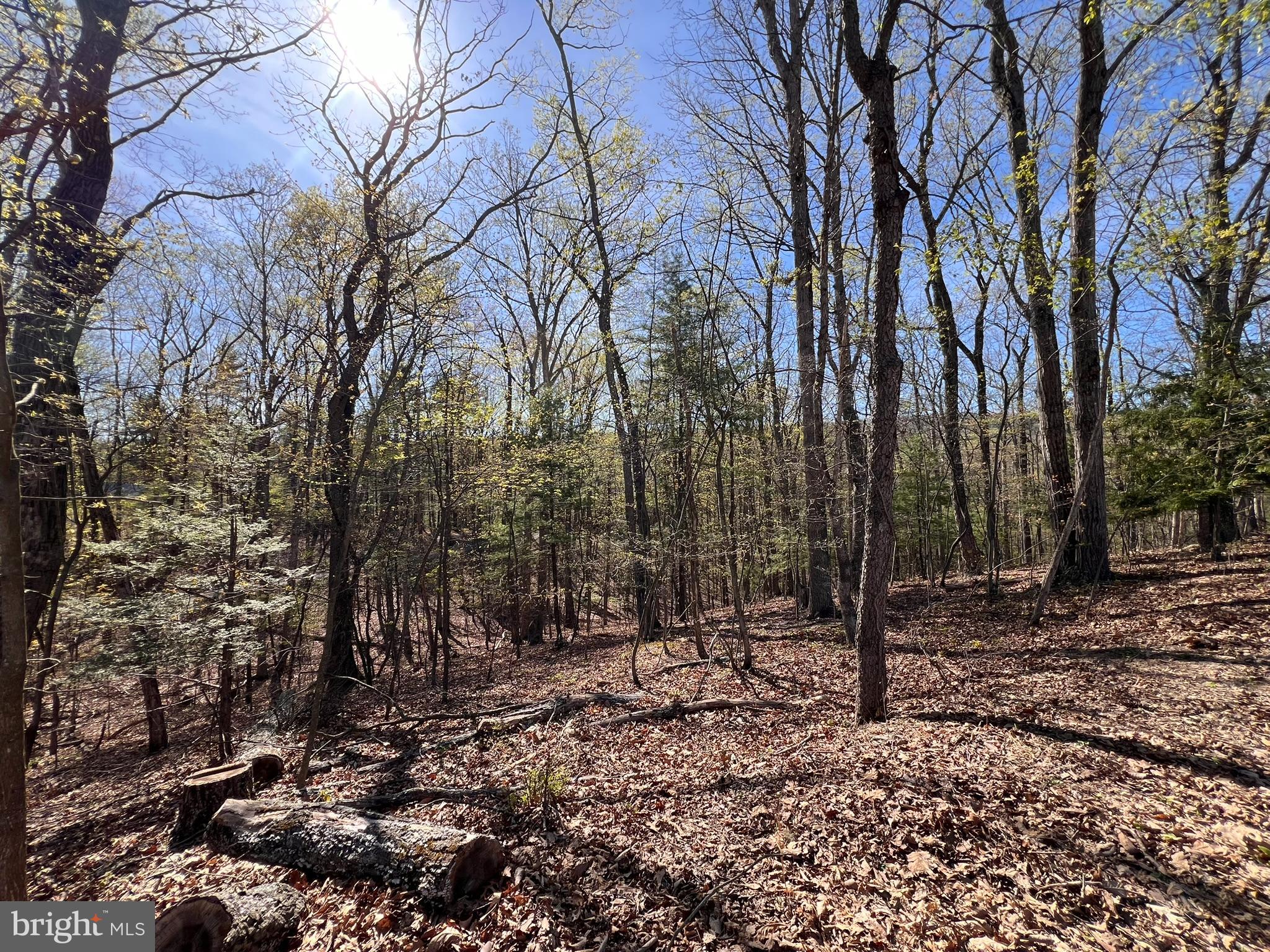 Beautiful wooded 2.37 acre wooded lot in Sleepy Hollow. Located at the end of the cul-de-sac on Whistler Lane. Get away from the hustle and bustle and enjoy the peace and quiet location in wild wonderful West Virginia. Community features a community lake with beach area and baseball/softball field. Easy access to Sleepy Creek Wildlife Management Area Well and septic required, not installed. Perfect location to build your primary or vacation home with a walkout basement. Sleepy Hollow Lot Owners Association annual fee is $300.00.