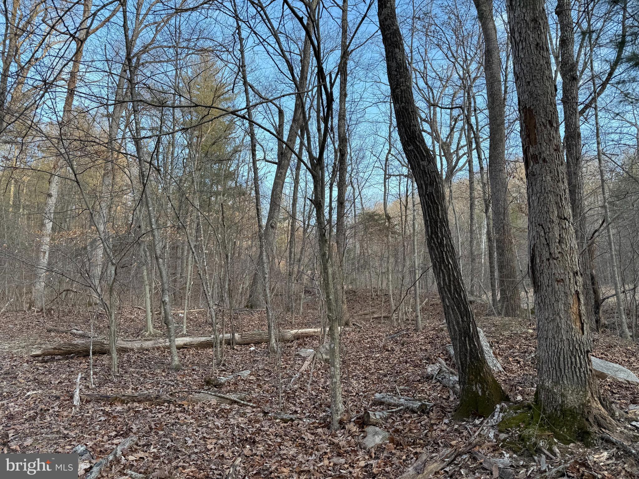 Five Lots Total 1.94 Acres.  Bring Your House Plan We Have Builders Who Can Build Your Home!  This Community Is Loaded With Amenities To Include Shenandoah River Access, Lakes, Parks, Community Center & More.  Commuters Will Love The Great Access To I-66.  Enjoy All The Outdoors, Water Access, Hiking Trails Close By, Wineries, Golf, Restaurants & Shopping.  Property is located in a Sanitary District.  No perc work has been done.  Property has a creek and gas line easement.