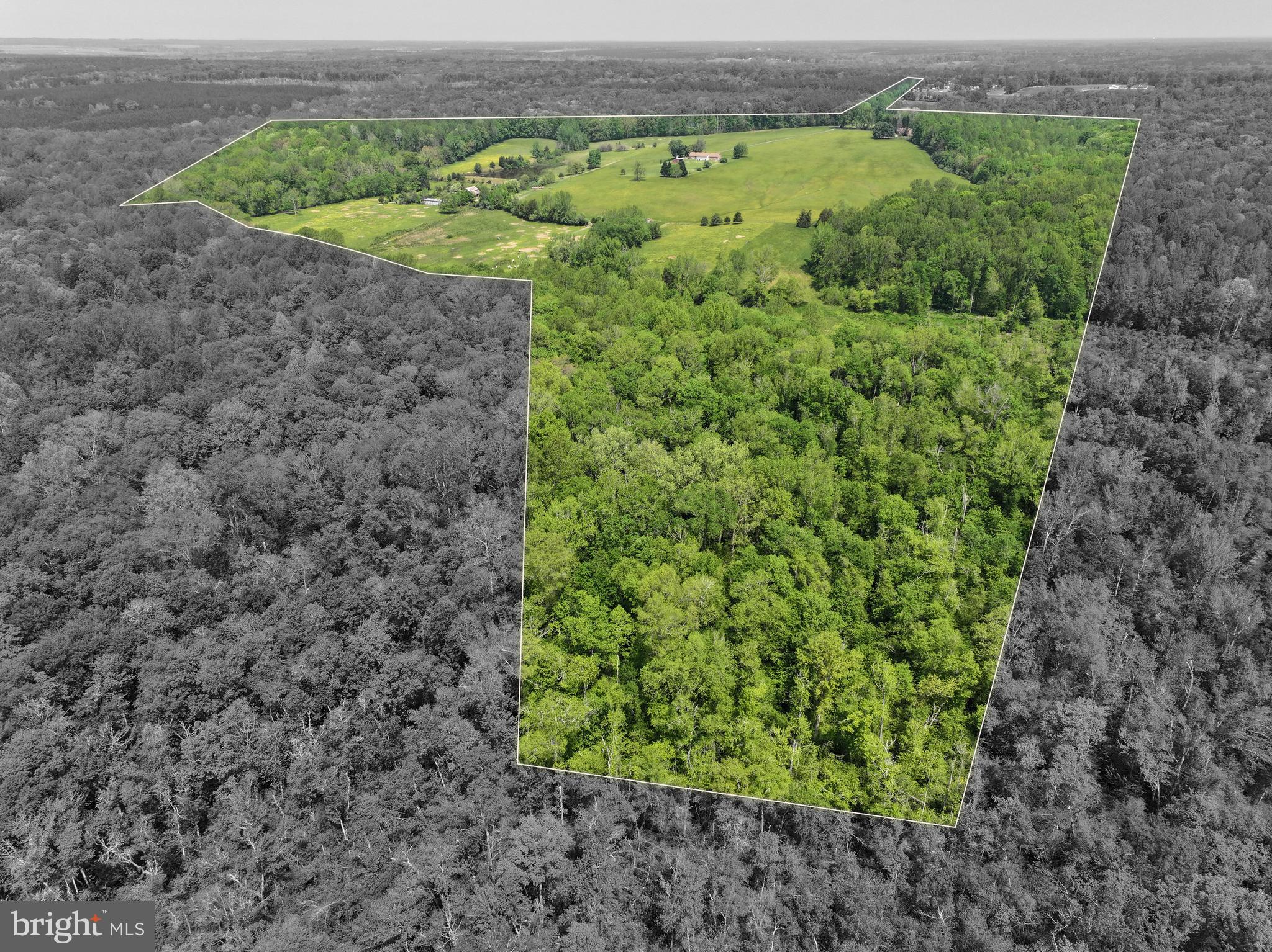 Legacy Estate on 174 Acres – Two Homes, Working Farm, Endless Possibilities in Scenic Spotsylvania

Discover a rare and remarkable opportunity to own a 174-acre legacy estate in the heart of Spotsylvania County, featuring two single-family homes, a fully operational working cattle farm, and wide-open potential for multigenerational living, investment, or peaceful retreat.

The primary residence, nestled on a beautifully landscaped 2-acre parcel, offers 4 bedrooms and 3.5 baths, with a thoughtful layout including a main-level bedroom, spacious common areas filled with natural light, and a partially finished basement ready for expansion, storage, or recreation. Perfect for families or those who desire flexible living, this home blends comfort, charm, and functionality.

Just steps away, the second home sits amid the 169-acre farm, a classic brick ranch with 2 bedrooms and 2.5 baths, a cozy wood-burning fireplace, a sunroom with sweeping countryside views, and a daylight walkout basement offering endless options for guest space or future finishing. Exceptionally maintained, it’s ideal for use as a guest house, farm manager’s residence, or second family dwelling.

The land itself is rich in features: rolling pastures, a shimmering pond, mature woods, multiple barns, a grain silo, a separate well house, and fenced acreage ready for livestock, crops, or horses. Whether you’re looking to expand an agricultural venture, create a family compound, or simply enjoy the tranquility of rural Virginia, this estate delivers.

This is more than a property—it’s a lifestyle. A place where dreams grow, legacies are built, and every sunset feels like home.