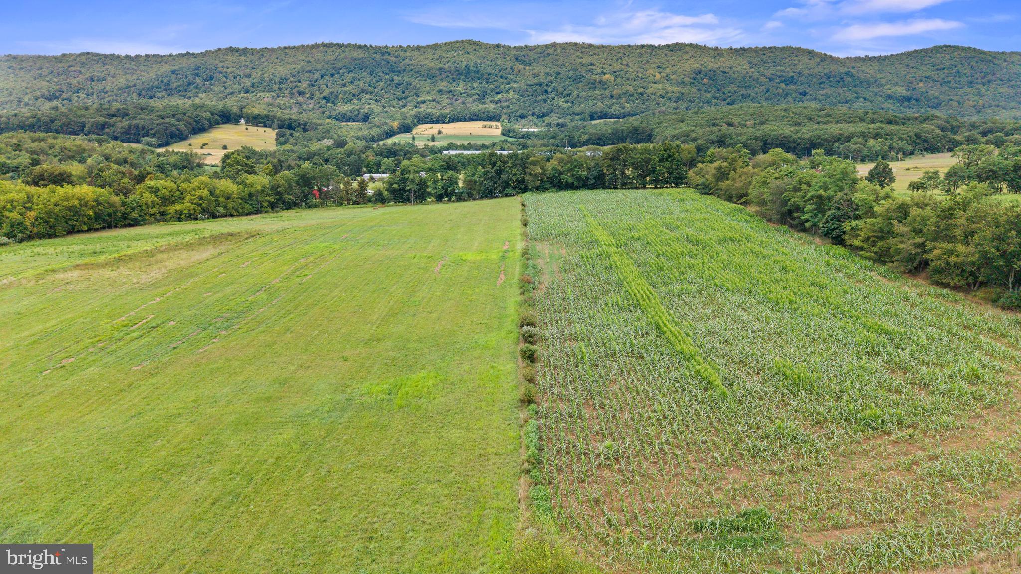 NONE AVAILABLE - Farm