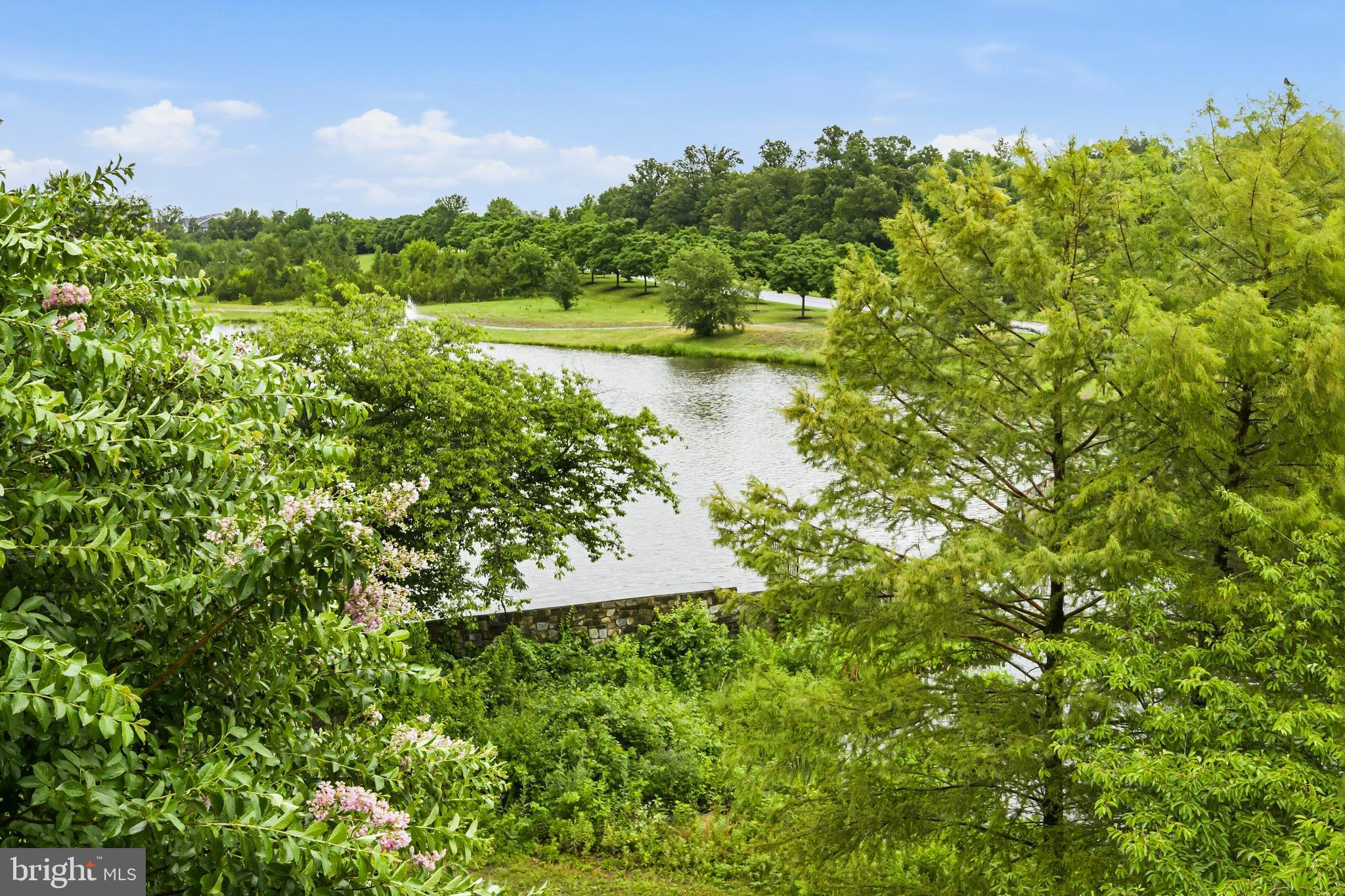 LAKESIDE AT SOUTH RIDING - Residential