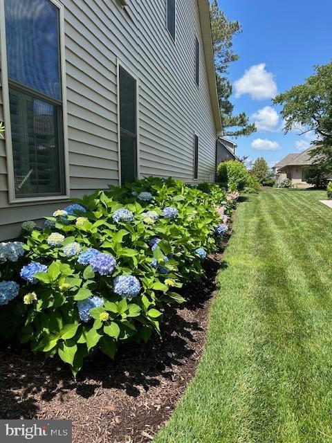 BAY COLONY - Residential
