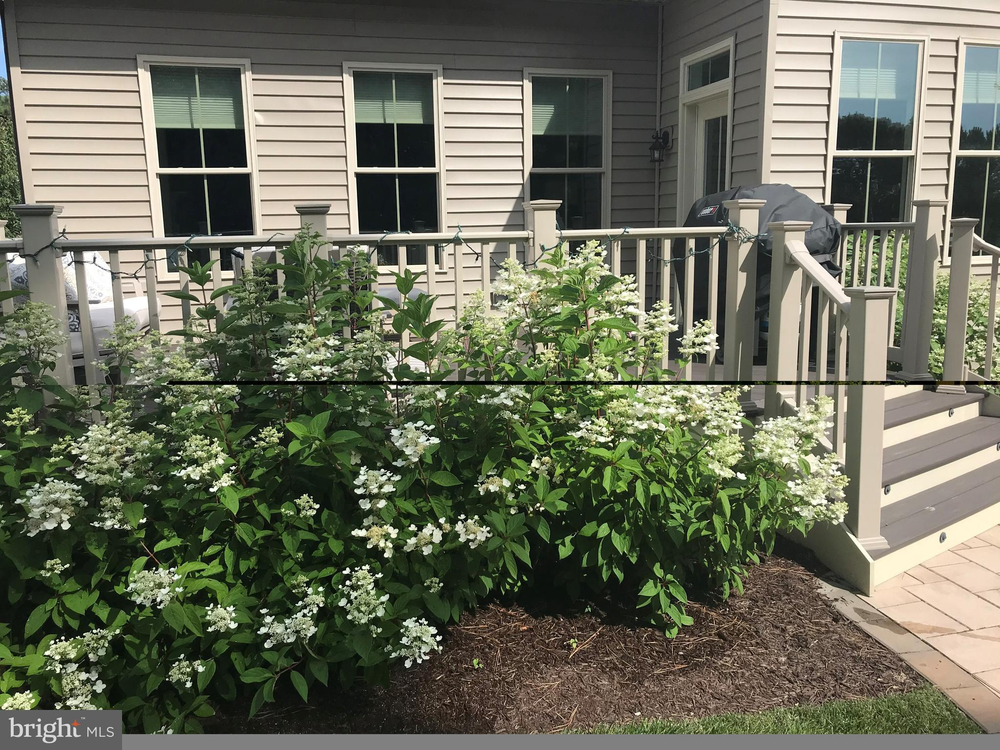 BAY COLONY - Residential