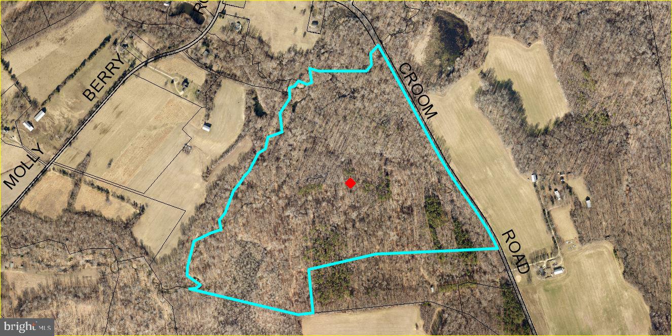 Beautiful wooded  79.322 +/- acres in Woodland Preservation Easement.  This lot has the perfect location to camp on, hunt, or to promote woodland farming.  Conveniently located in the Washington DC / Virginia metropolitan area. Hunt the land, harvest the timber under a select cut forestry management permit. LAND CANNOT BE CLEARED and must be allowed to re-grow naturally or be re-planted if trees are harvested. Property cannot be subdivided. Two adjacent buildable lots available (MDPG2070620 - 17+/- acres  & MDPG2070044 - 5.61+/- acres). Any existing unused tree mitigation rights which remain on the date of settlement shall be retained by the Seller;  and do not convey with the property.  Buyer to retain current agricultural assessment at property transfer. More details available upon inquiry. Listing Agent must accompany all showings. Buyer's Agent must accompany all showings with their client!