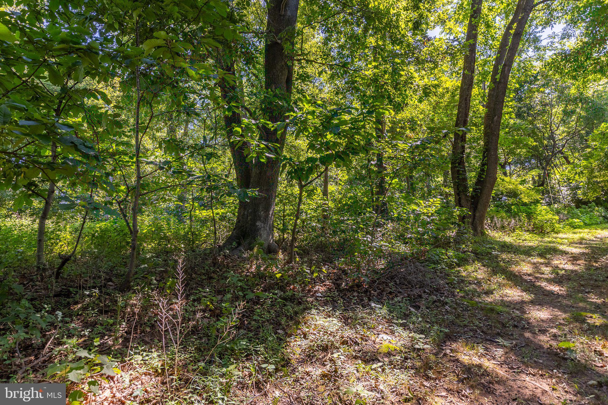 KNIGHTS ISLAND PRESERVE - Land