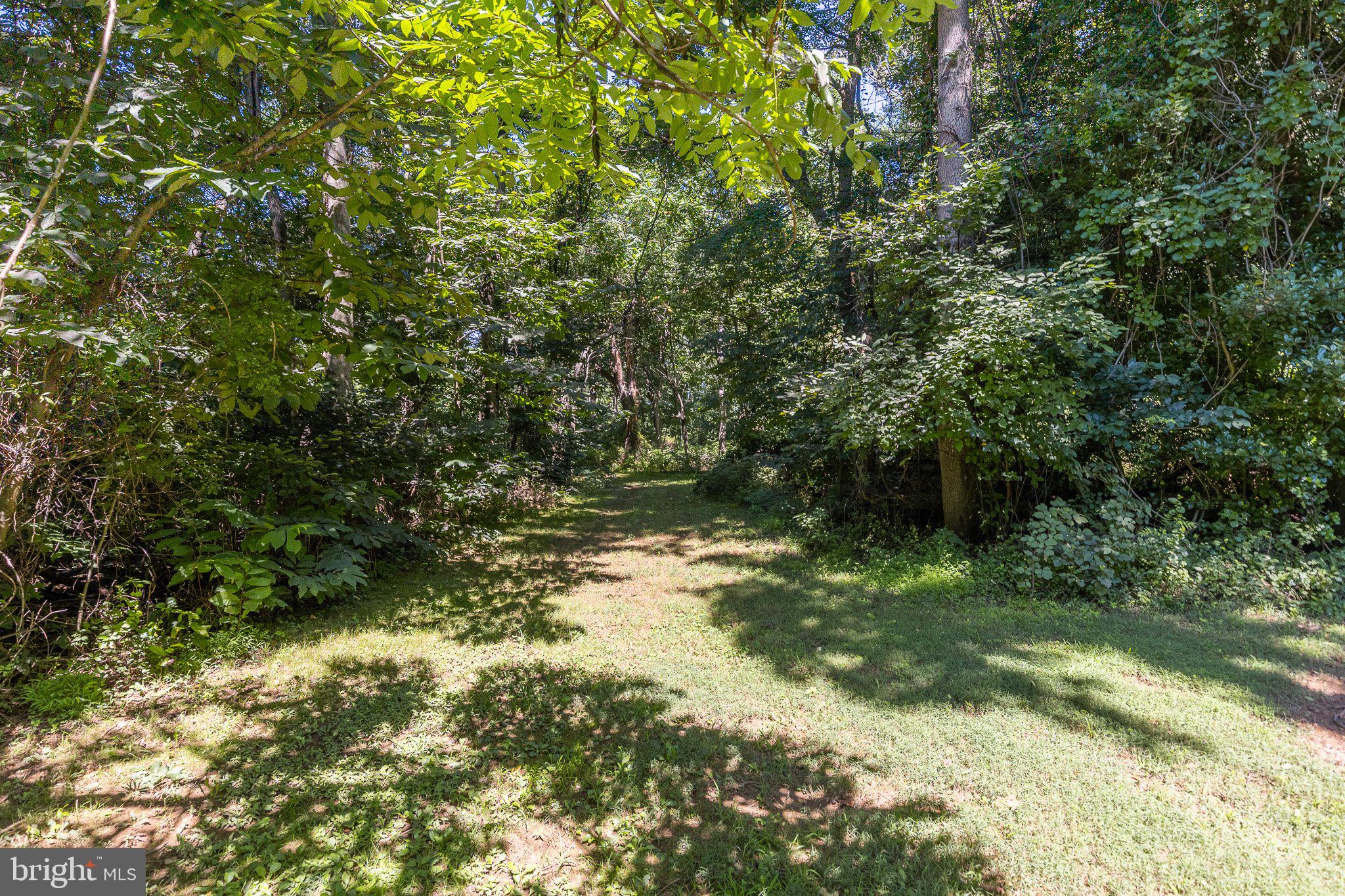 KNIGHTS ISLAND PRESERVE - Land