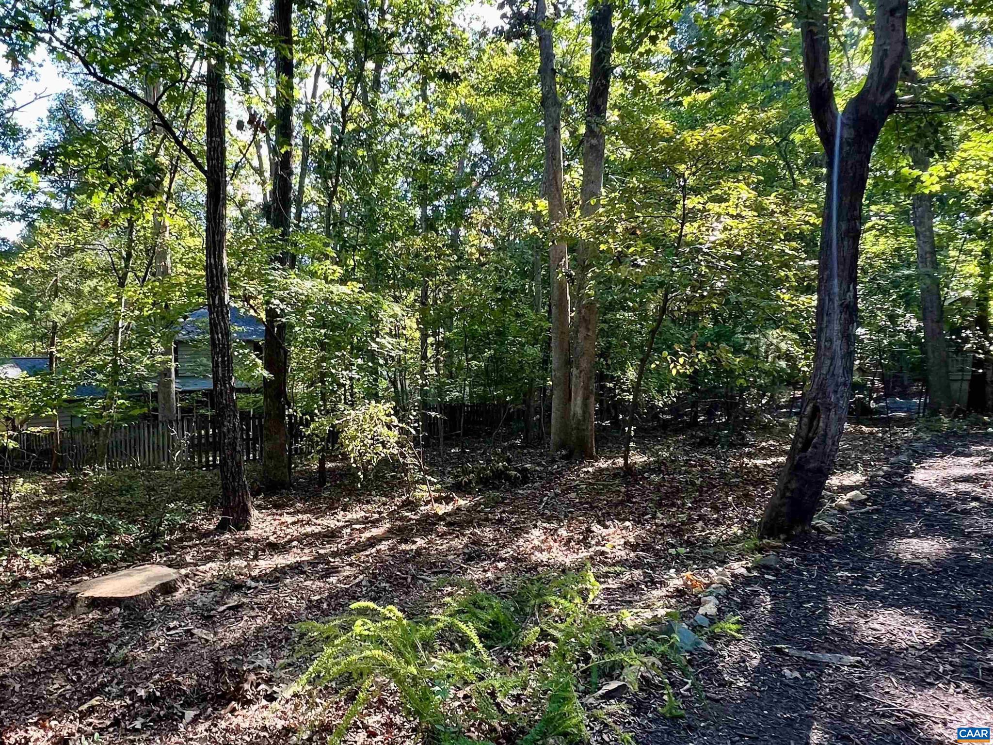 LAKE MONTICELLO - Residential