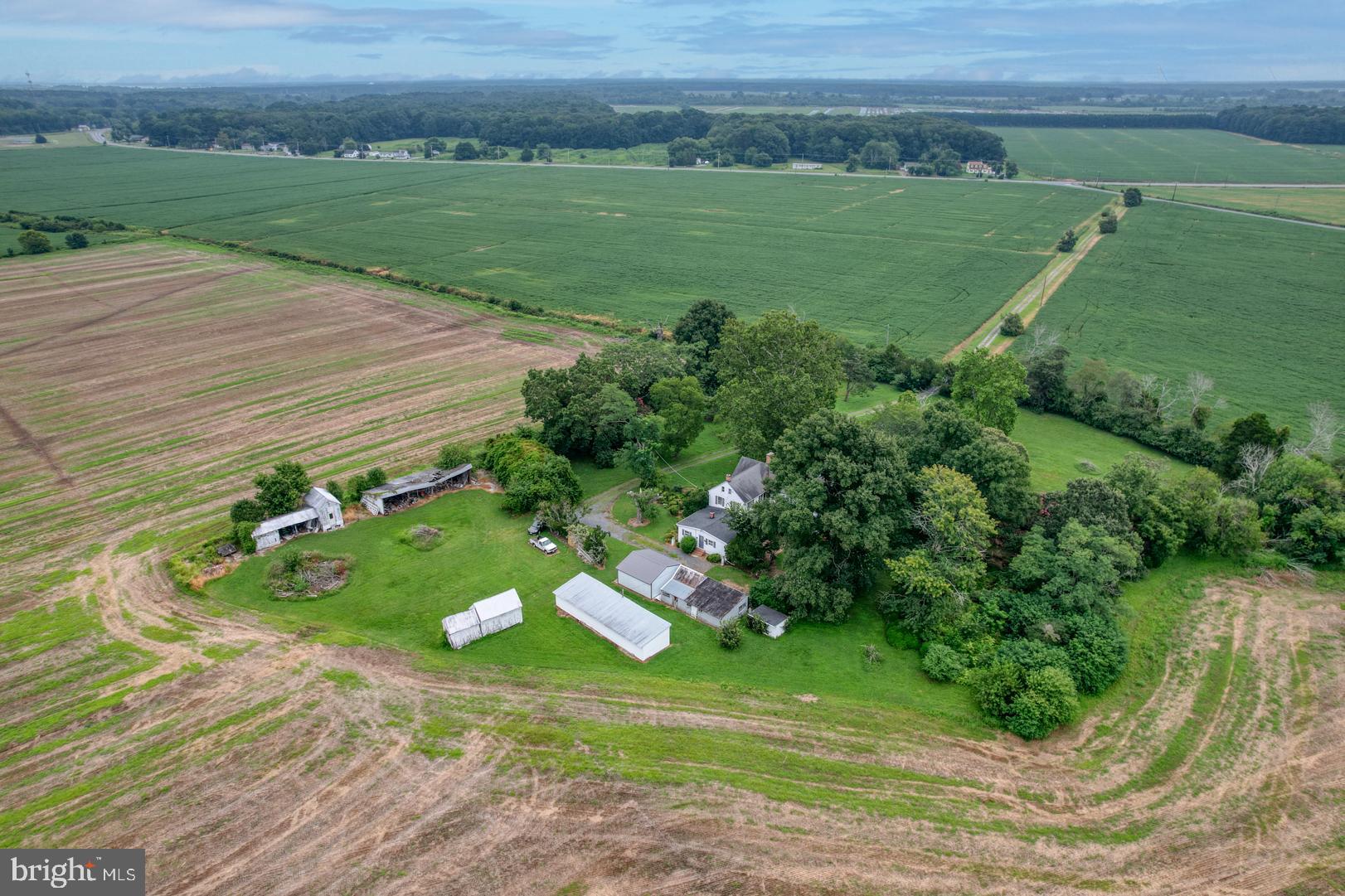 NONE AVAILABLE - Farm