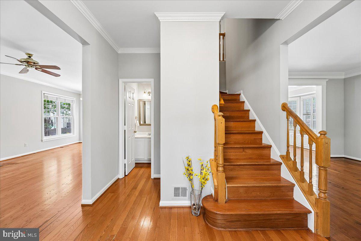 MEADOWGATE - Residential