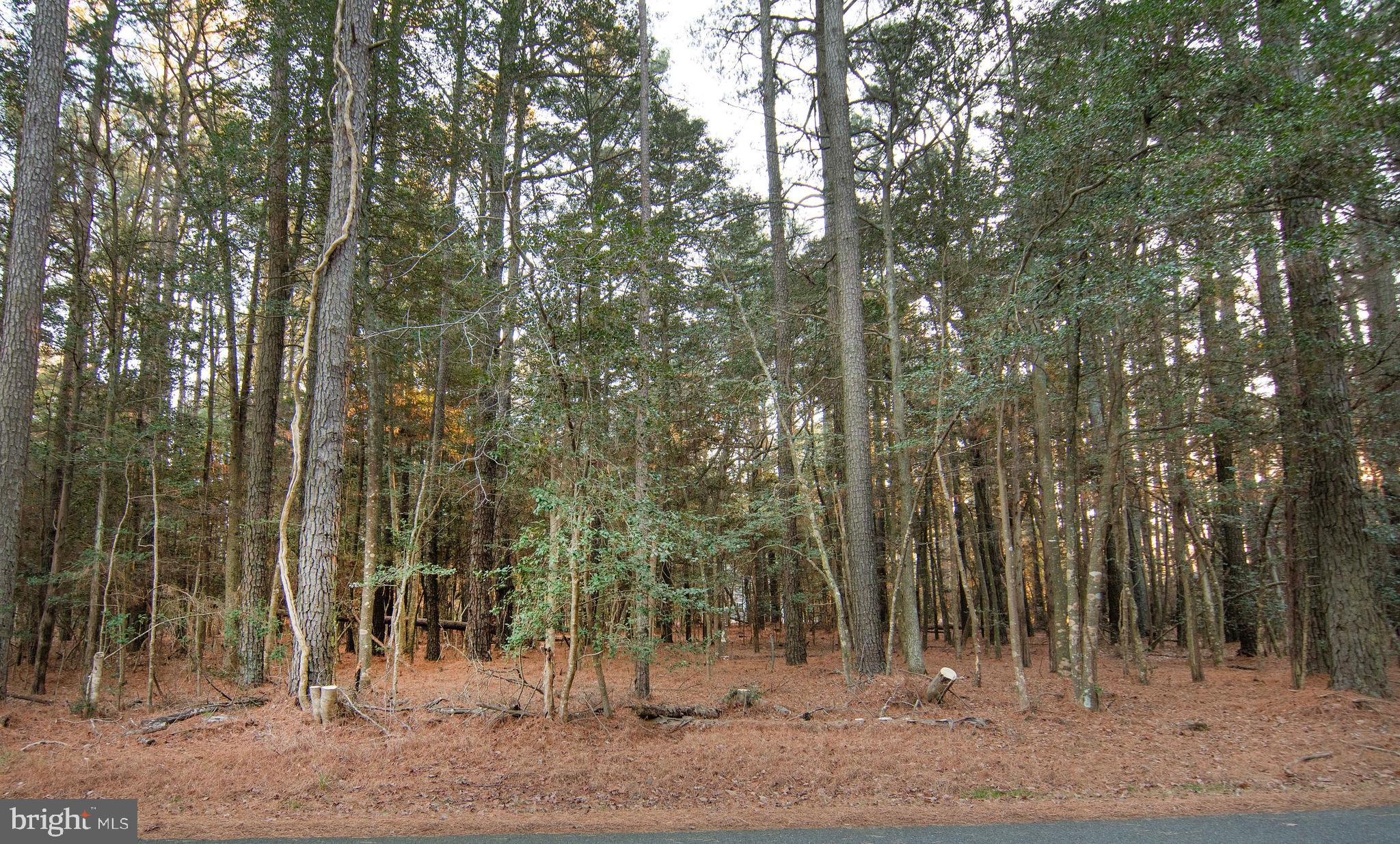 Opportunity is knocking! Now is the perfect time to to purchase this great lot in Section 1 with access to public water and sewer! This building site is just under a quarter acre. If you have been considering a second home or year round living on the Eastern Shore, come and see the resort community of Captain's Cove. You won't be disappointed. Purchase now and build later. Make your dream a reality & start enjoying all that Captain's Cove has to offer. Features include indoor & outdoor pools, a restaurant, banquette rooms, fitness center, basketball & tennis courts, boat launch, playground, security and so much more! All included in the HOA!