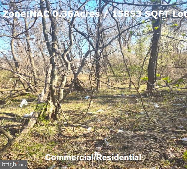 Attention builders and developers! An incredible opportunity awaits you to acquire a stunning piece of commercial land conveniently situated near National Harbor. The current zoning in PG County is Neighborhood Activity Center (NAC), making it ideal for various development projects. With access to nearby public utilities and close proximity to numerous amenities, this opportunity is not to be overlooked. Don't miss out on this chance to own a prime piece of real estate! The next-door lot # 264 is also available for purchase. It can be bought separately or together.