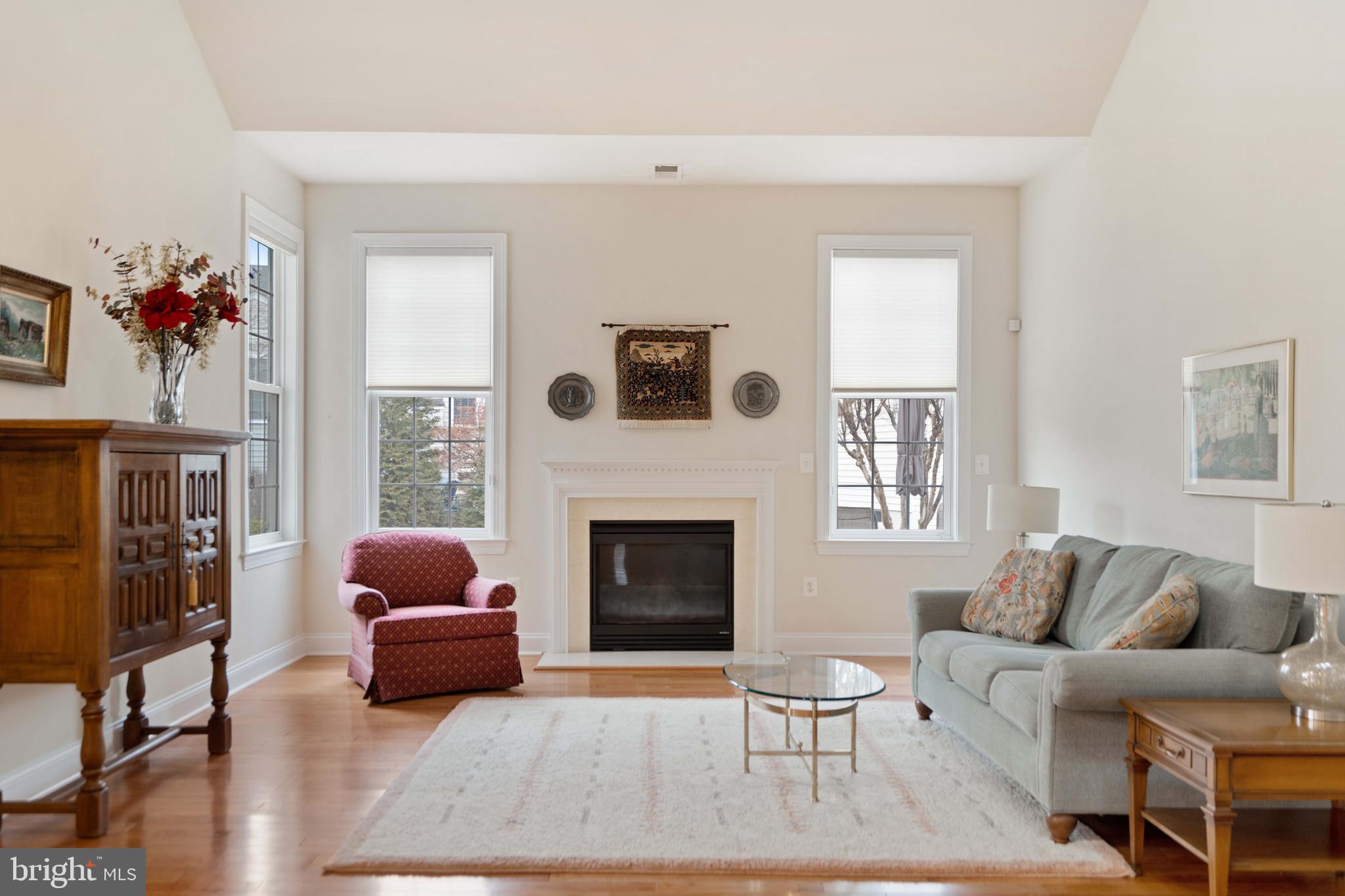 REGENCY AT DOMINION VALLEY - Residential