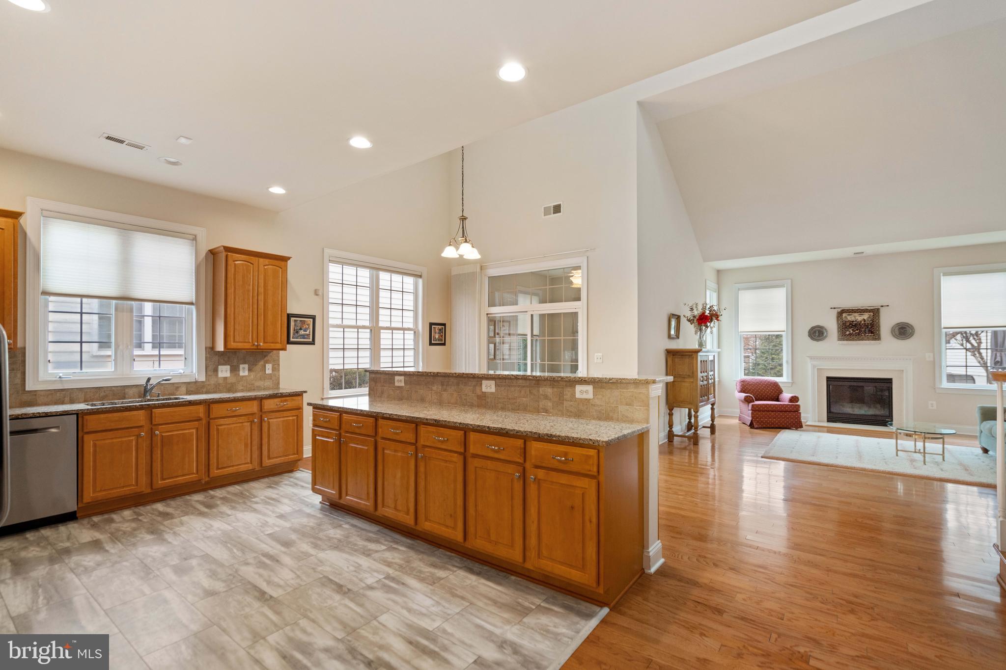REGENCY AT DOMINION VALLEY - Residential
