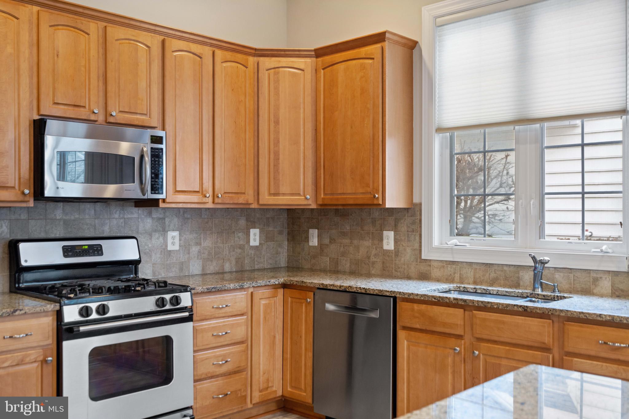 REGENCY AT DOMINION VALLEY - Residential