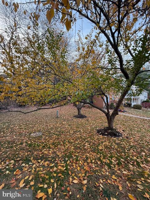 DUFIEF MILL BROOK - Residential