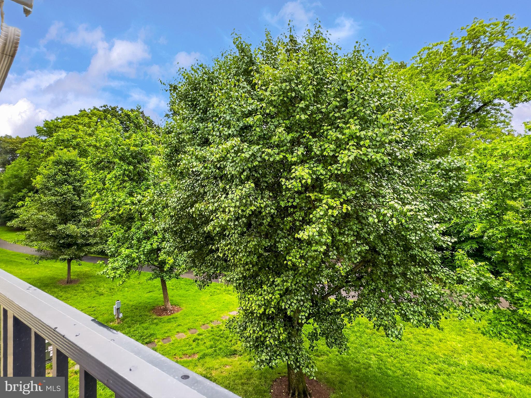 BEDFORD PARK - Residential