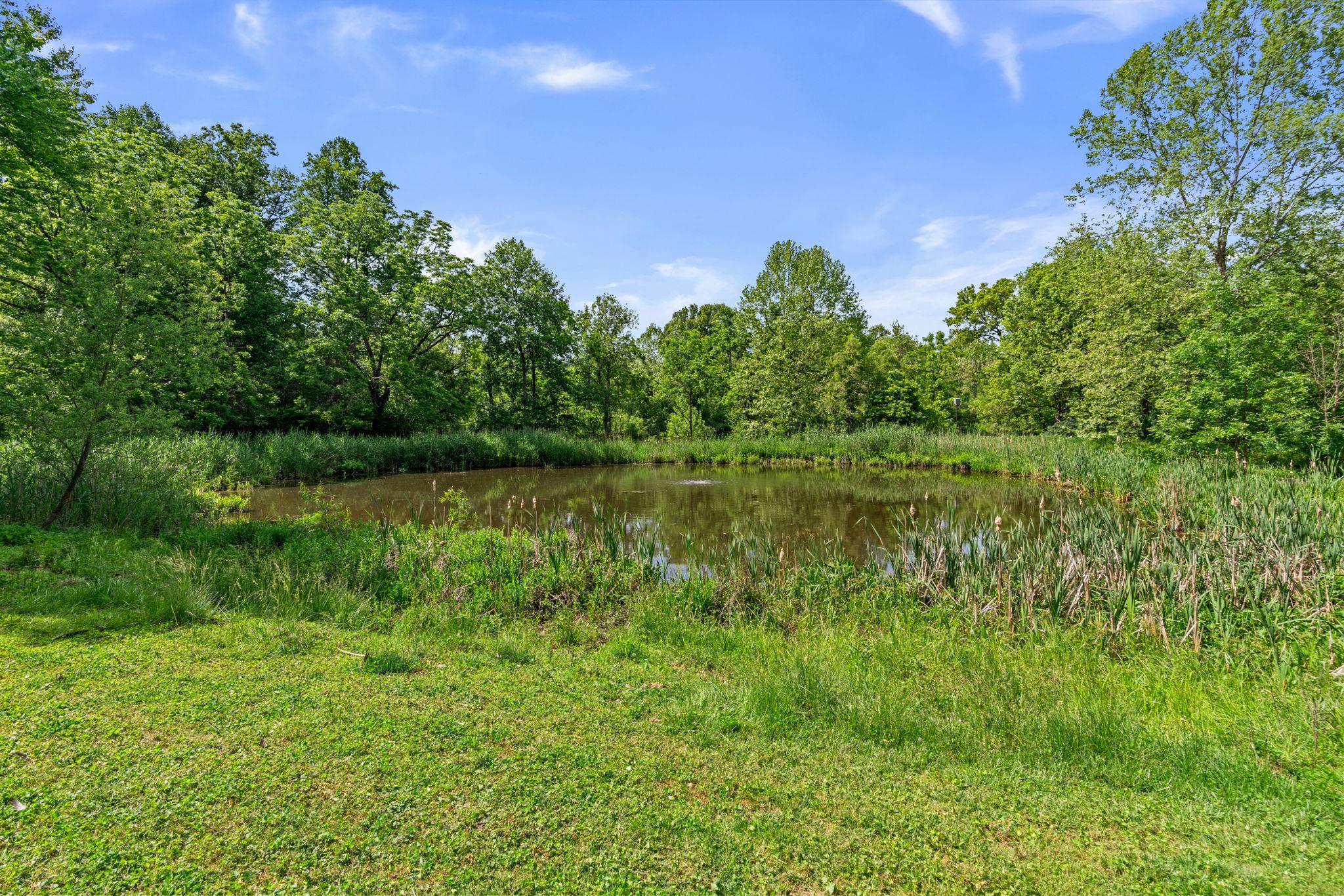 FONT HILL - Residential