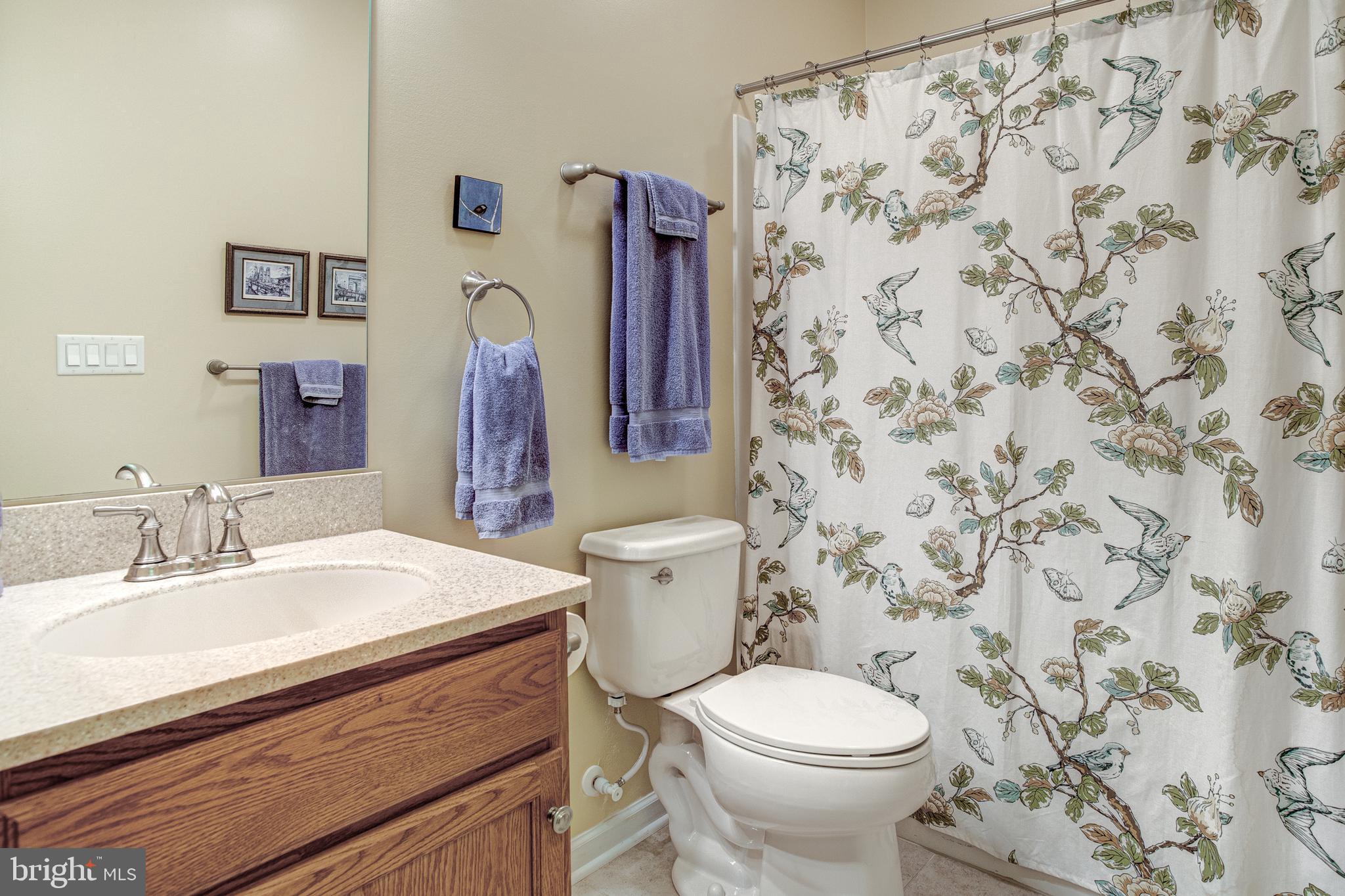 LIBERTY HILL - Residential
