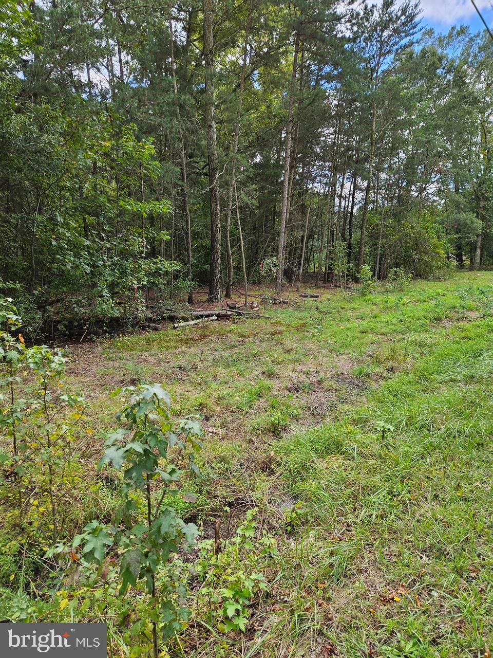 Two tax records  Sold as One property.  Both Tax records say the properties are on Acquasco Road, one in Waldorf and one in Hughesville.  Both parcels are on WOODVILLE ROAD, WALDORF. 3+ acres of level land in an area of upscale single family homes.  The property is marked by orange ribbons.  Property passed a perc test for a conventional mound system on March 31,2026