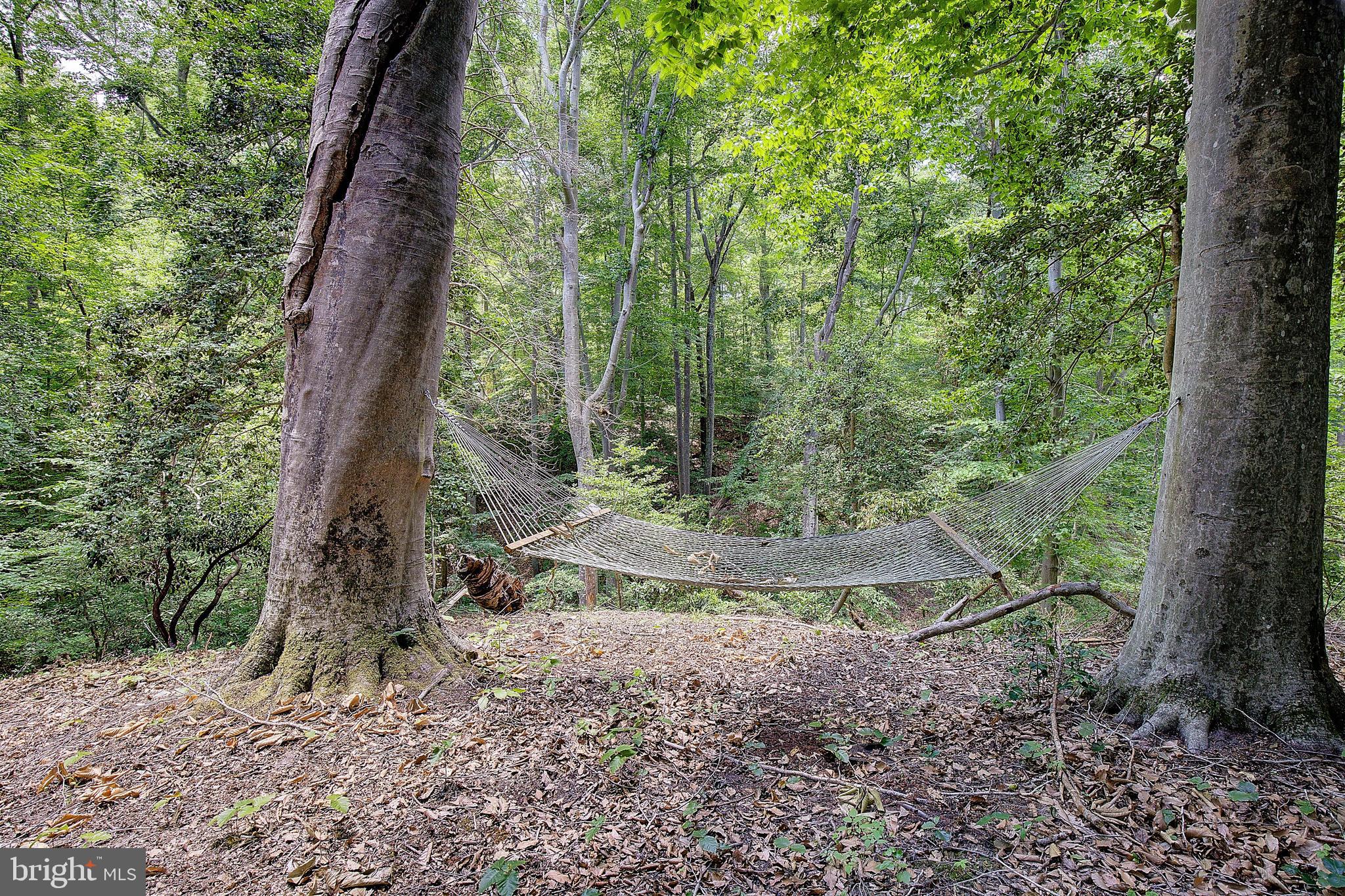 FERRY LANDING WOODS - Residential