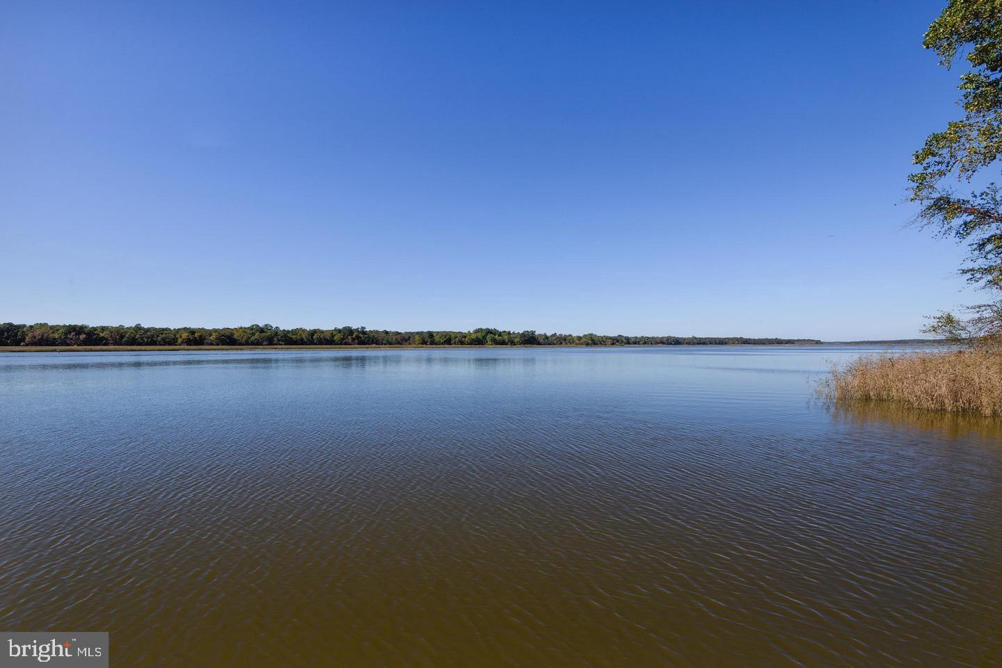 FERRY LANDING WOODS - Residential