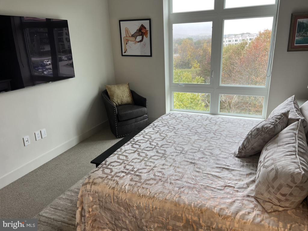 575 SOUTH CONDOS - Residential