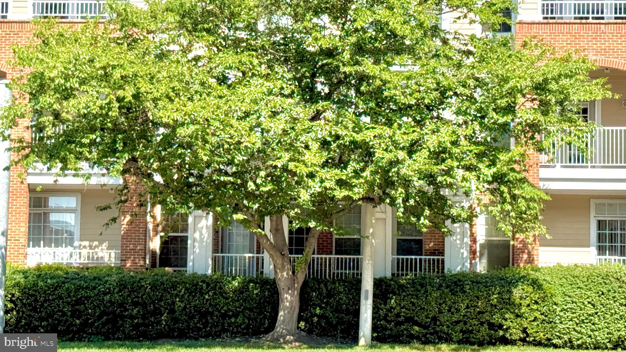 WESTBRIAR CONDOMINIUMS - Residential