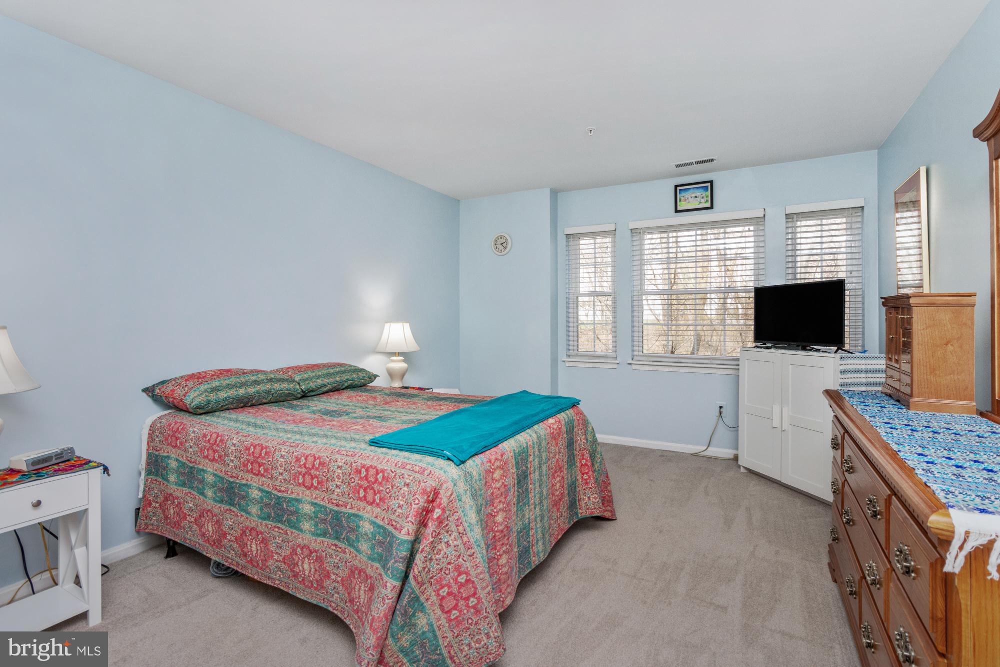 VILLAGE OF MONTGOMERY RUN - Residential