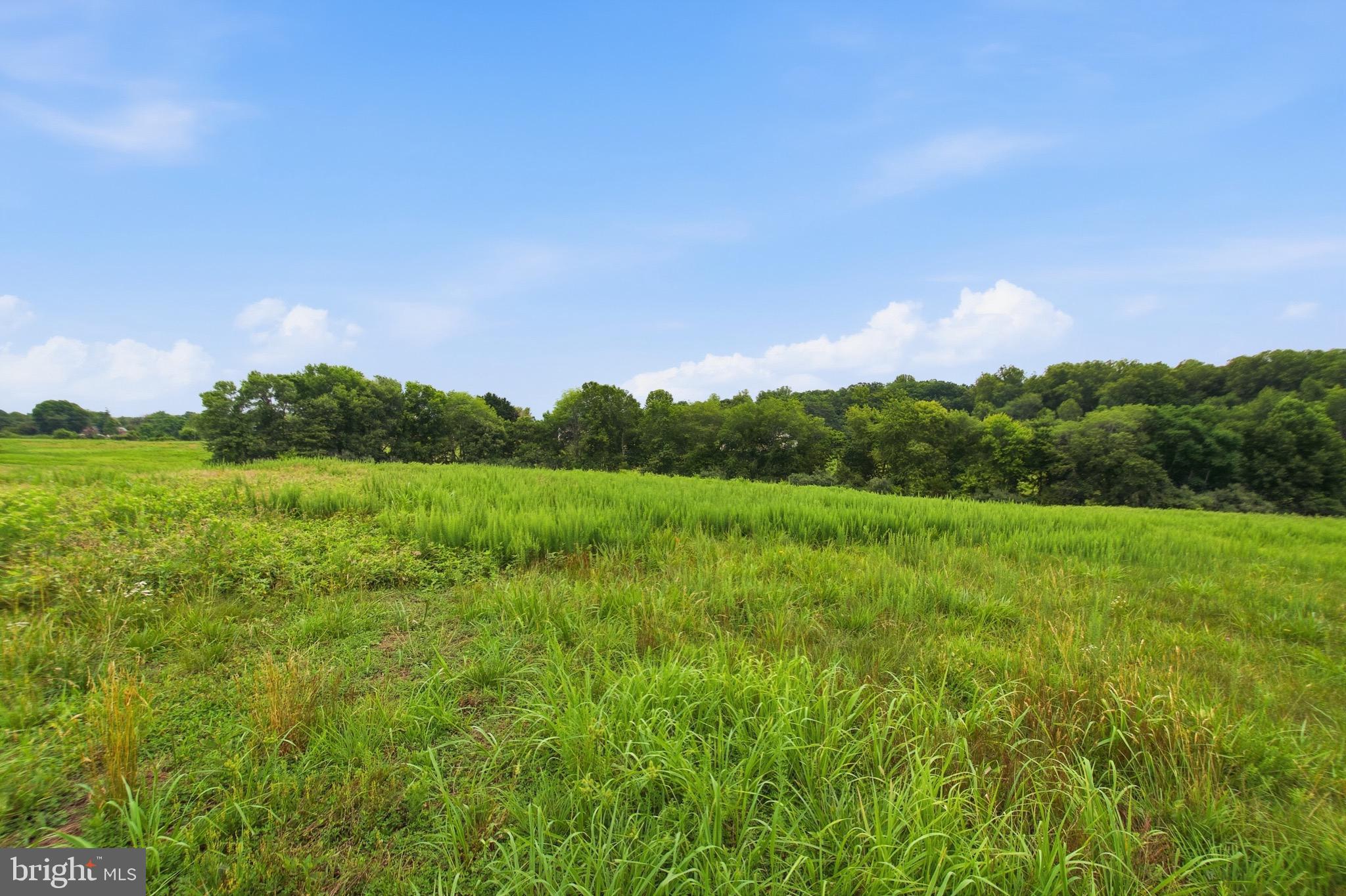 INDIAN RUN ESTATES - Residential