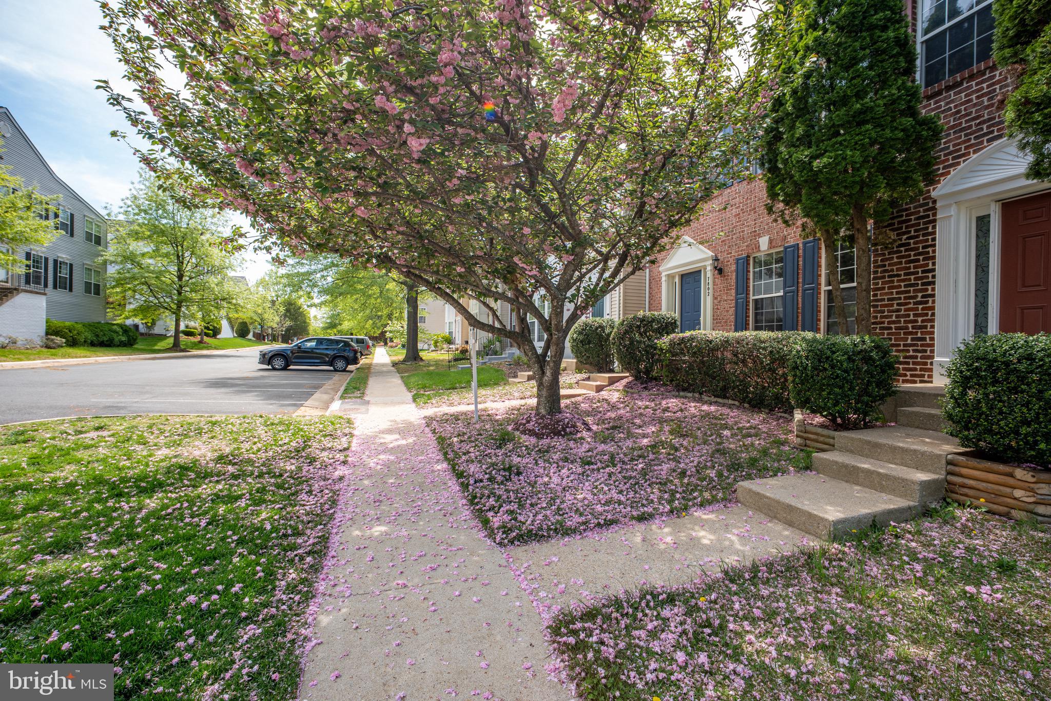 ISLAND CREEK - Residential