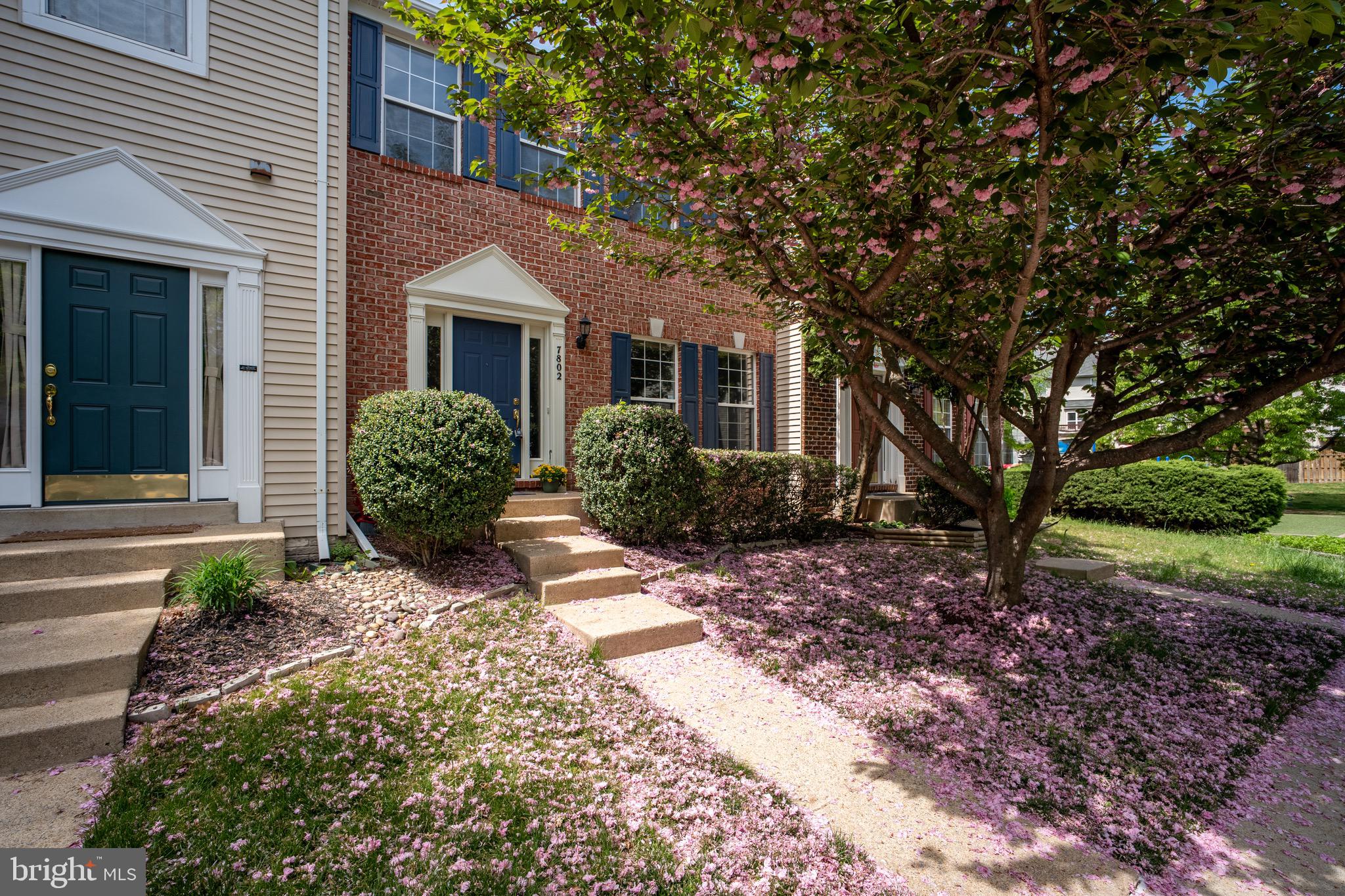 ISLAND CREEK - Residential