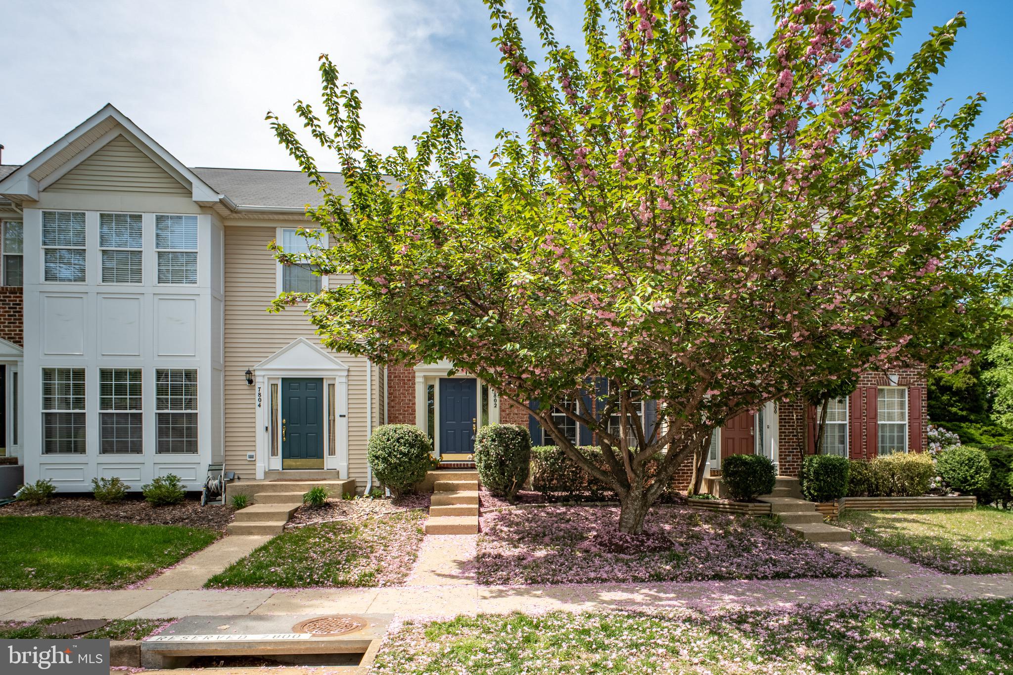 ISLAND CREEK - Residential