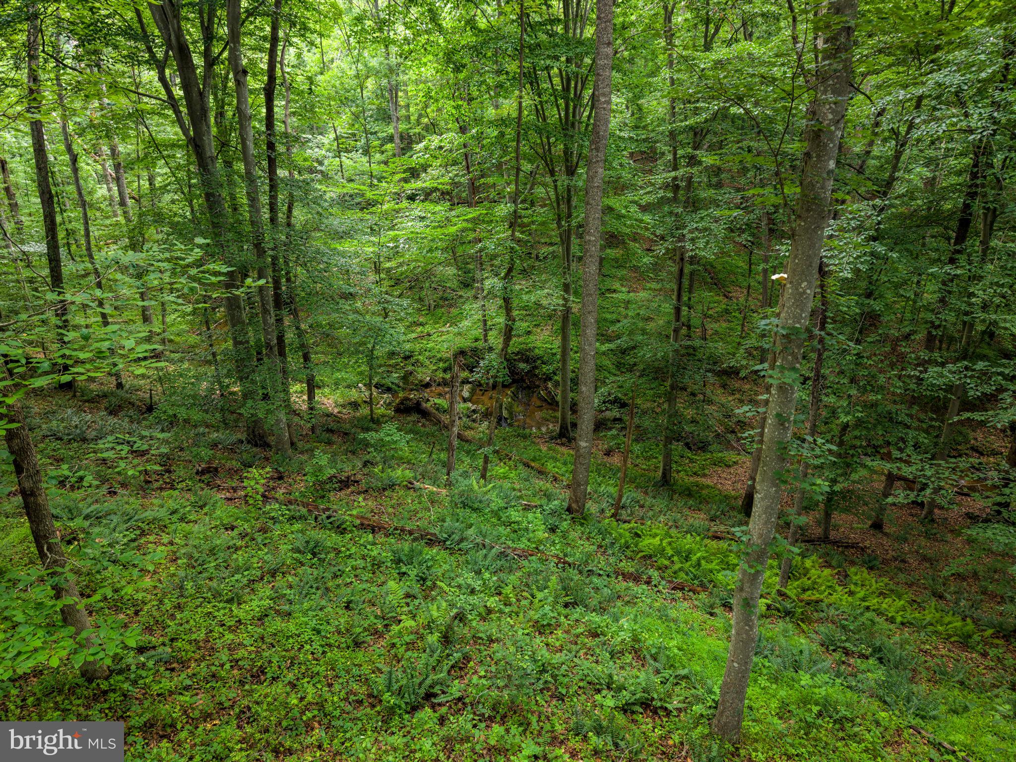 CLIFF'S MILL ON CARTER'S RUN - Residential