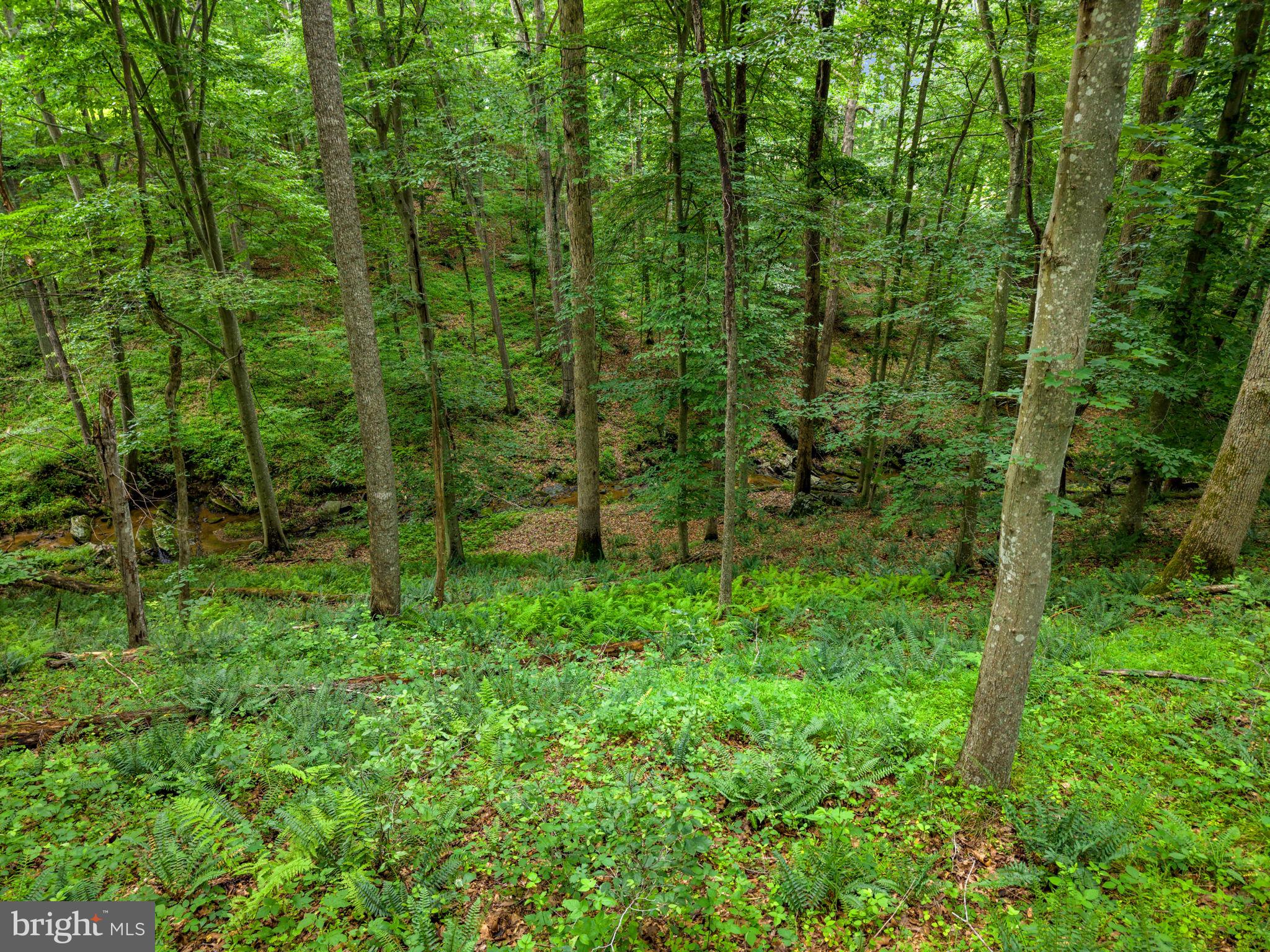 CLIFF'S MILL ON CARTER'S RUN - Residential