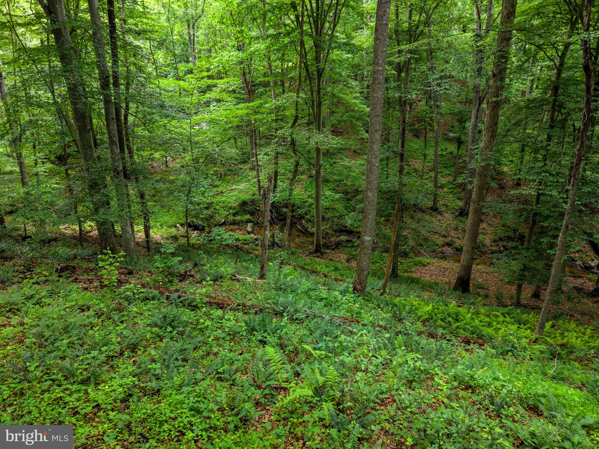 CLIFF'S MILL ON CARTER'S RUN - Residential