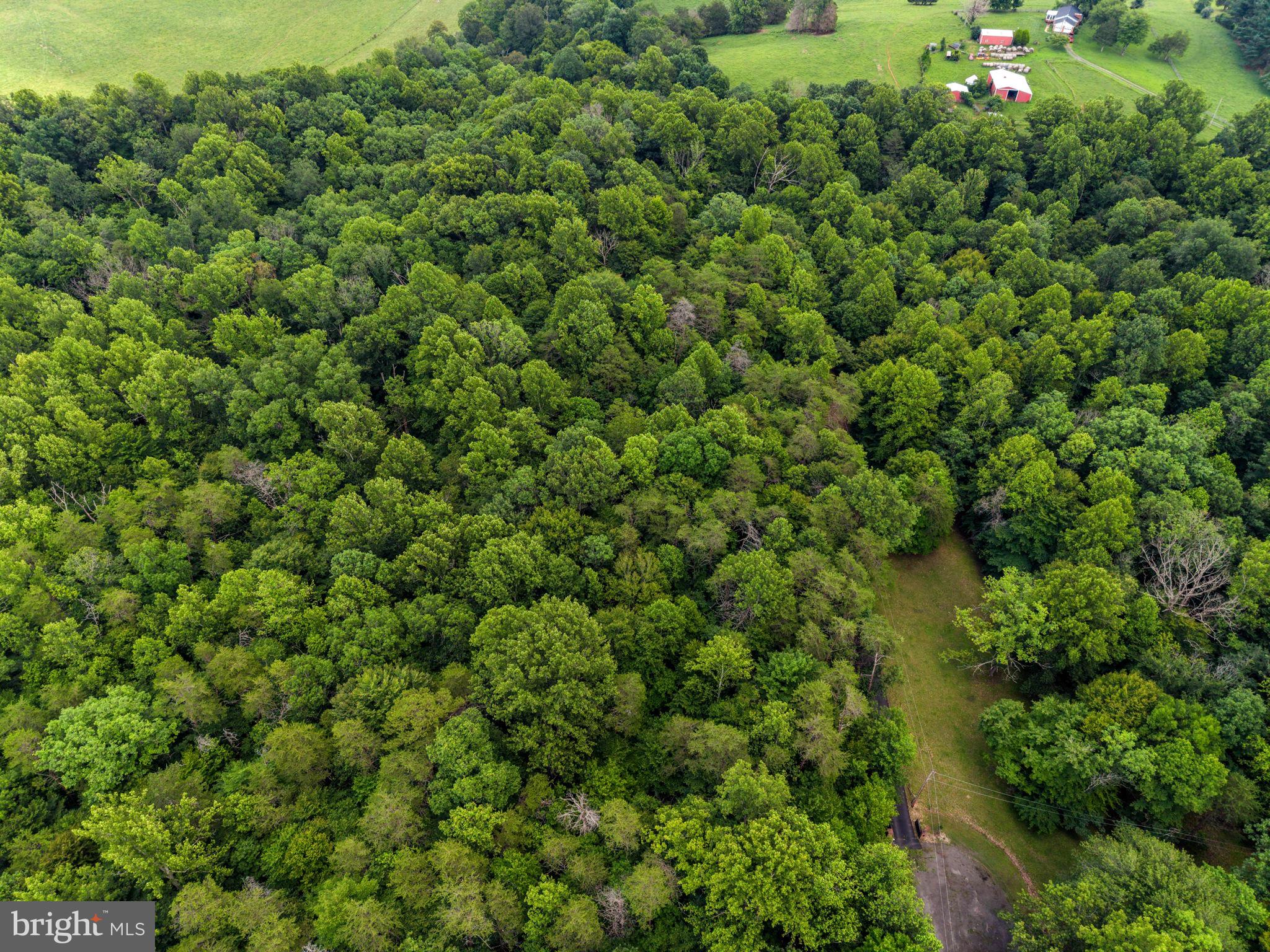 CLIFF'S MILL ON CARTER'S RUN - Residential