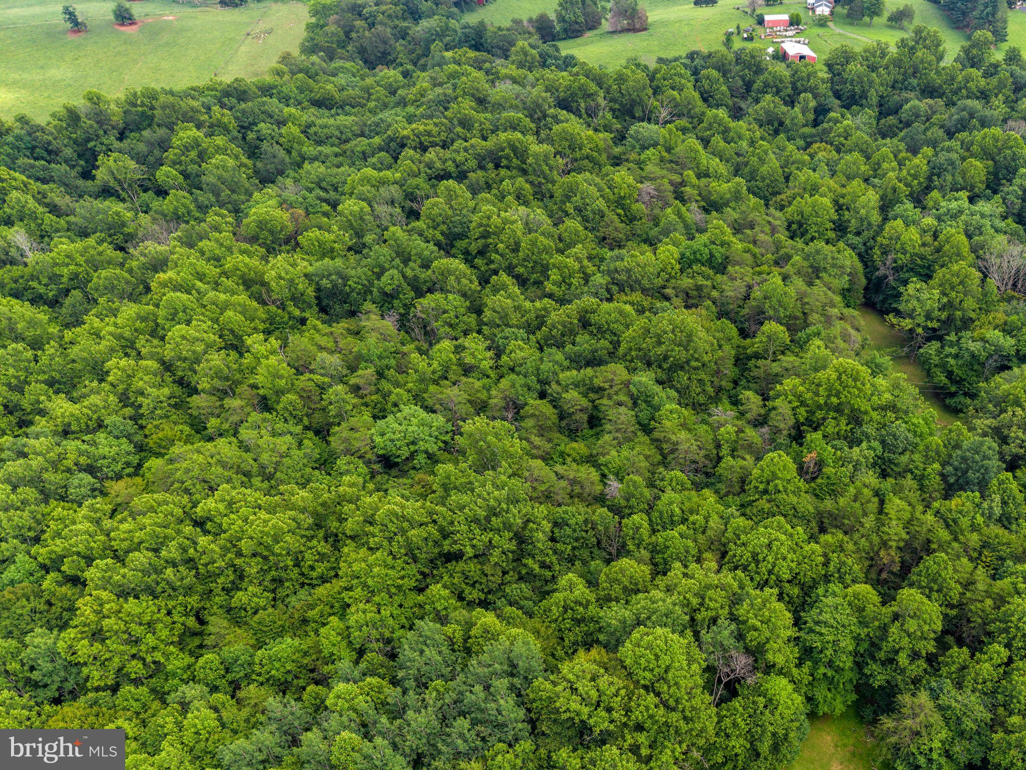CLIFF'S MILL ON CARTER'S RUN - Residential