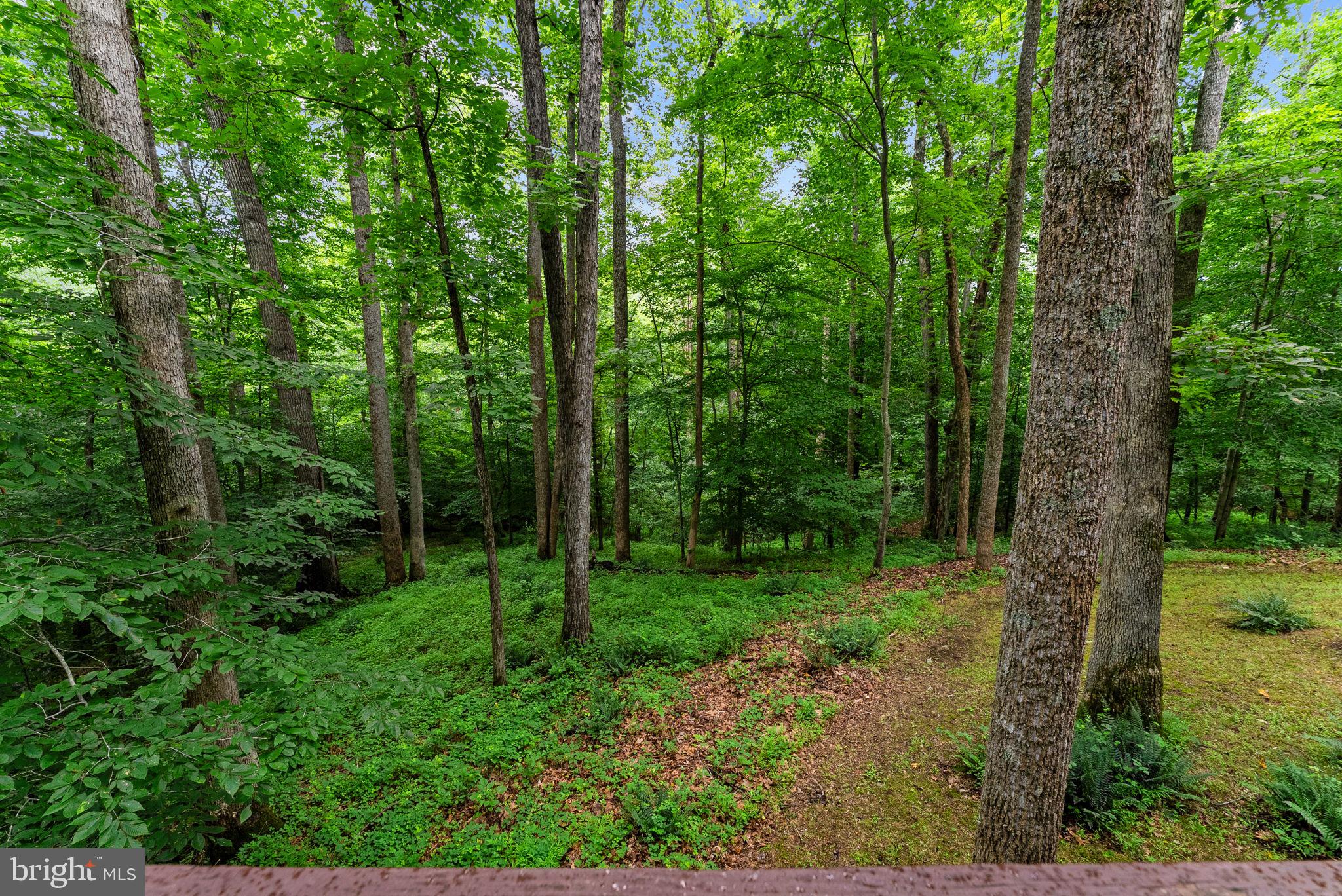 CLIFF'S MILL ON CARTER'S RUN - Residential