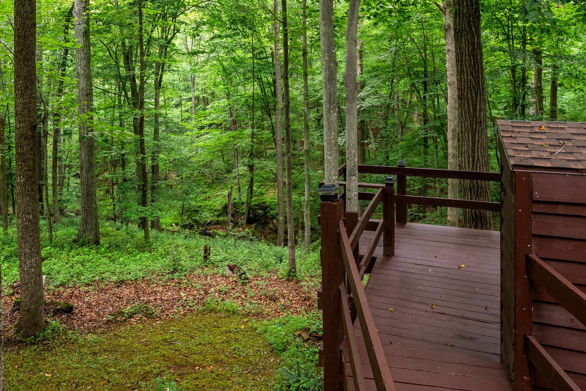 CLIFF'S MILL ON CARTER'S RUN - Residential