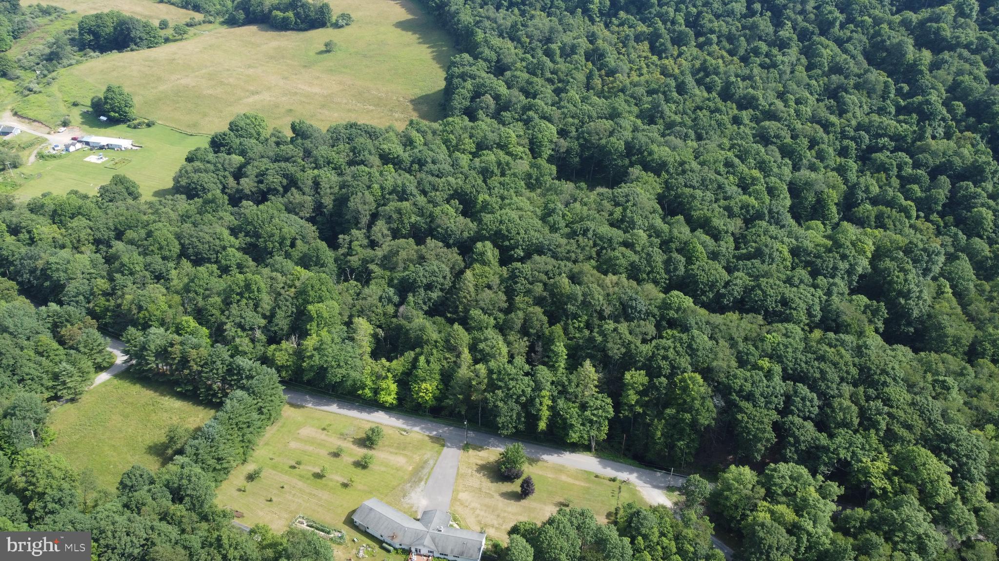 Build Your Mountain Dream: 2.37 Acres Near Deep Creek Lake

Embrace the ultimate mountain lifestyle on this picturesque 2.37-acre building lot. Framed by a pristine canopy of hardwoods and soaring pines, the property is graced by the tranquil sounds of Ginseng Run, a beautiful mountain stream flowing right through the land. Situated in a premier location for year-round, four-season recreation, you are just minutes from the slopes and golf courses at Wisp Resort, the whitewater put-in on the Yough River, and the scenic northern end of Deep Creek Lake.

Approved & Ready: Features an approved septic perc test, saving you months of county planning delays. A Survey Plat is available.

Easy Access off a county-maintained paved road ensures simple construction access.

Utilities: Electricity is already available at the property line.

Whether you’re dreaming of a cozy winter ski chalet, a summer lake house, or a quiet wooded escape, this lot is the perfect canvas for your vision.