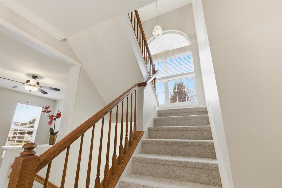 PIEDMONT SOUTH - Residential