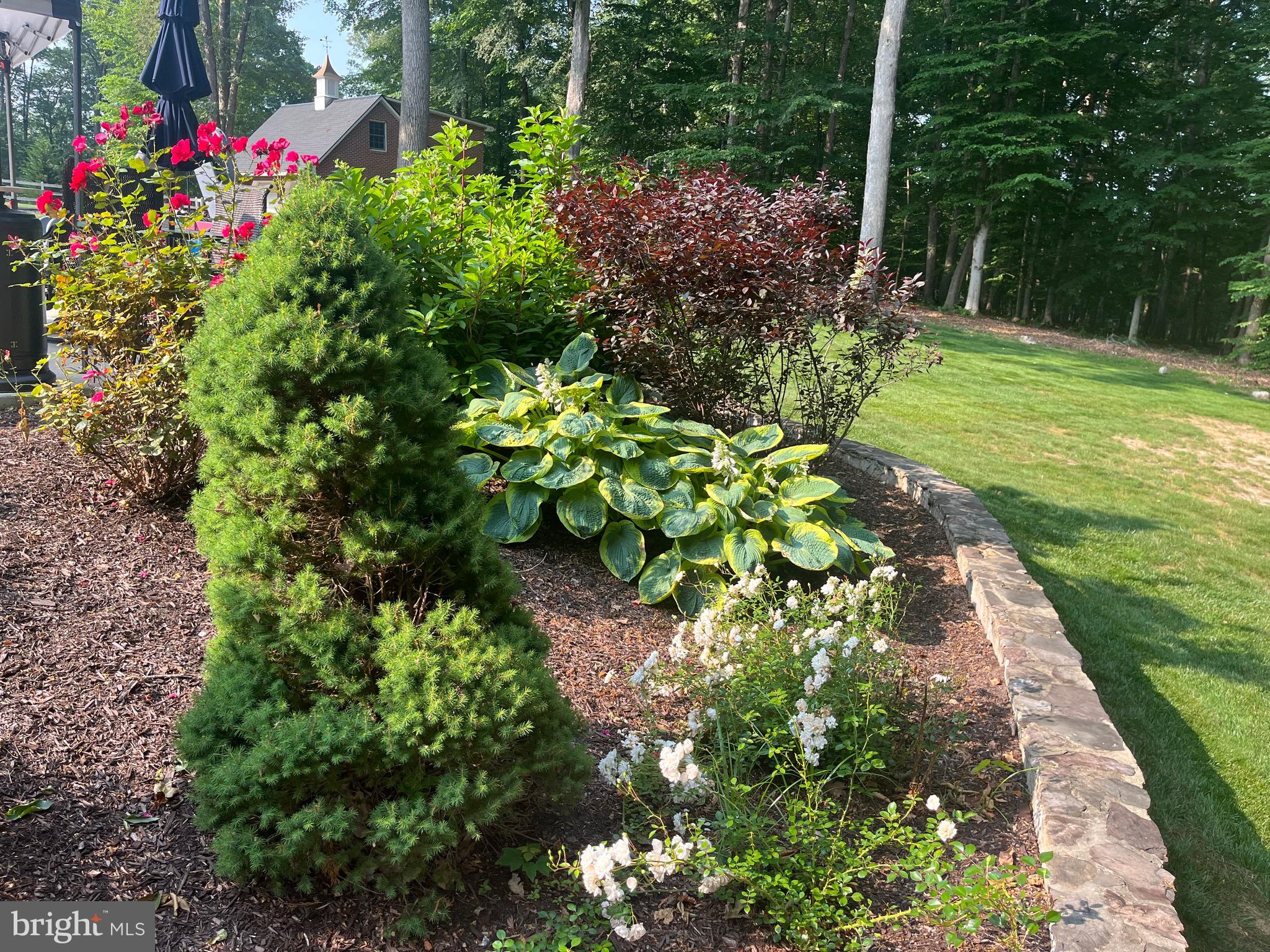 CEDAR KNOLL - Residential